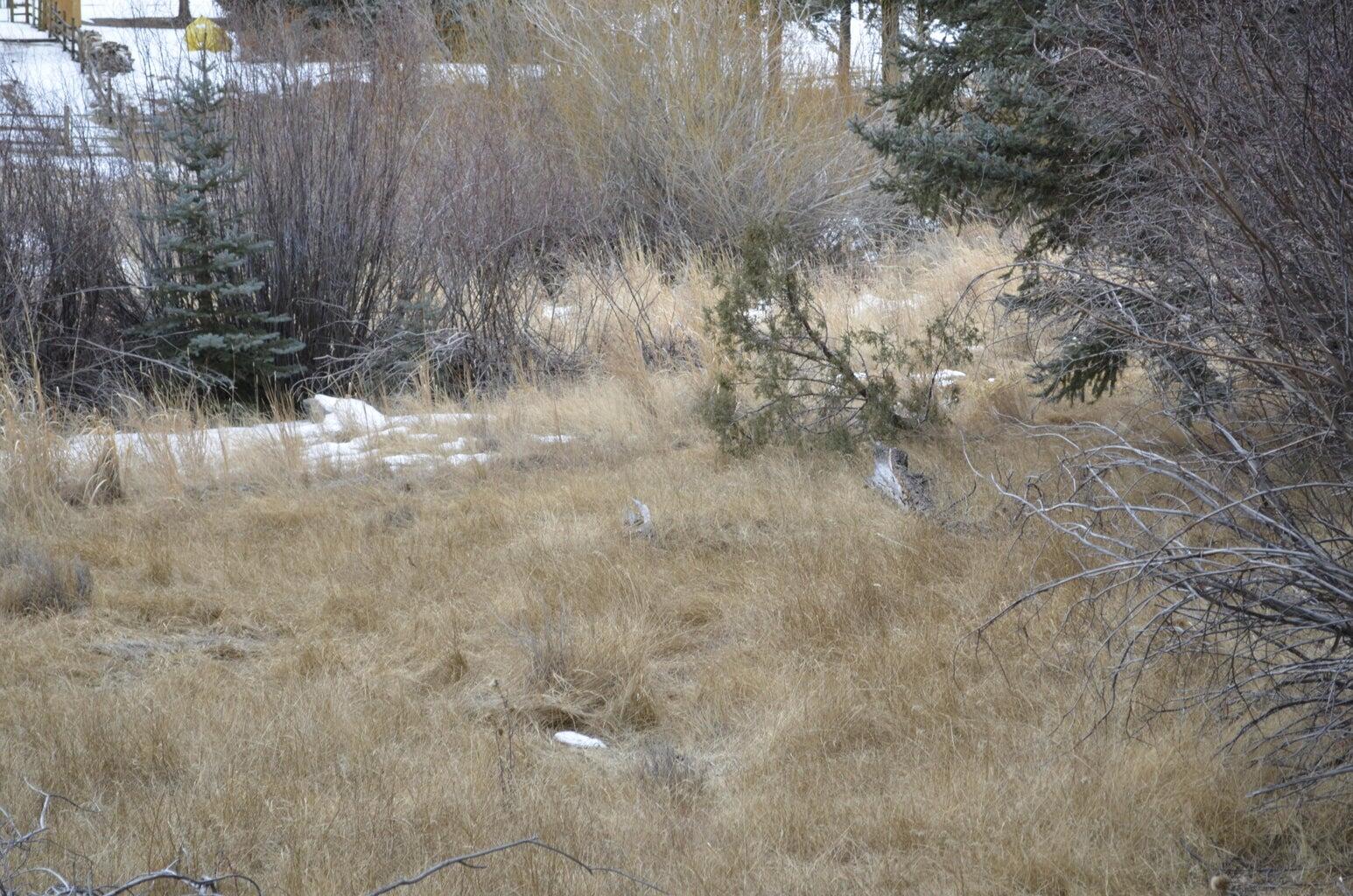 CLEAR CREEK RANCH ESTATES - Land