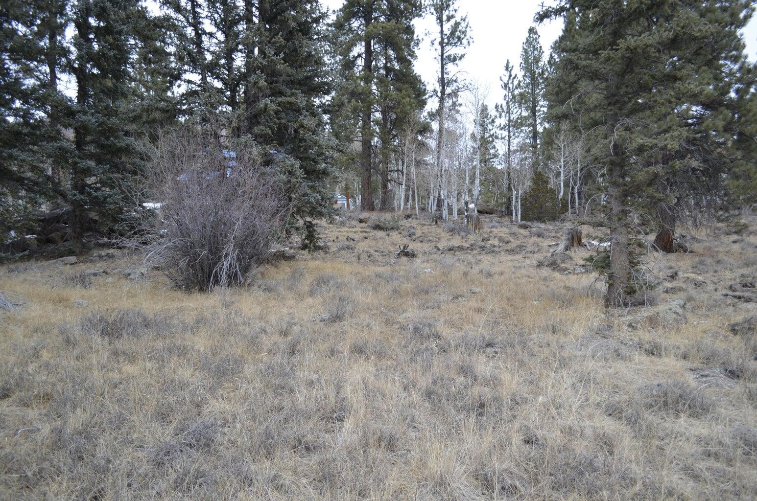 CLEAR CREEK RANCH ESTATES - Land