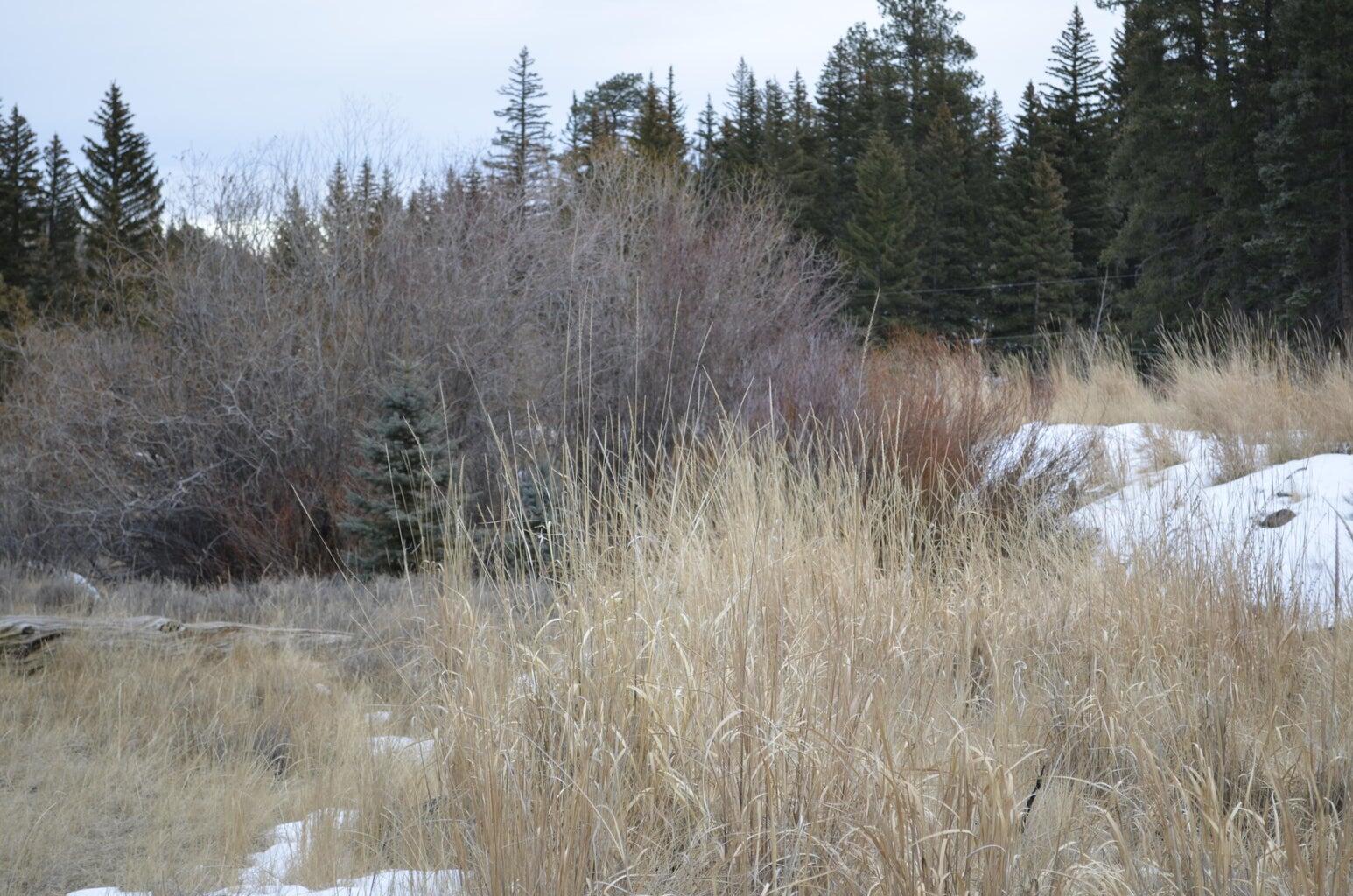 CLEAR CREEK RANCH ESTATES - Land