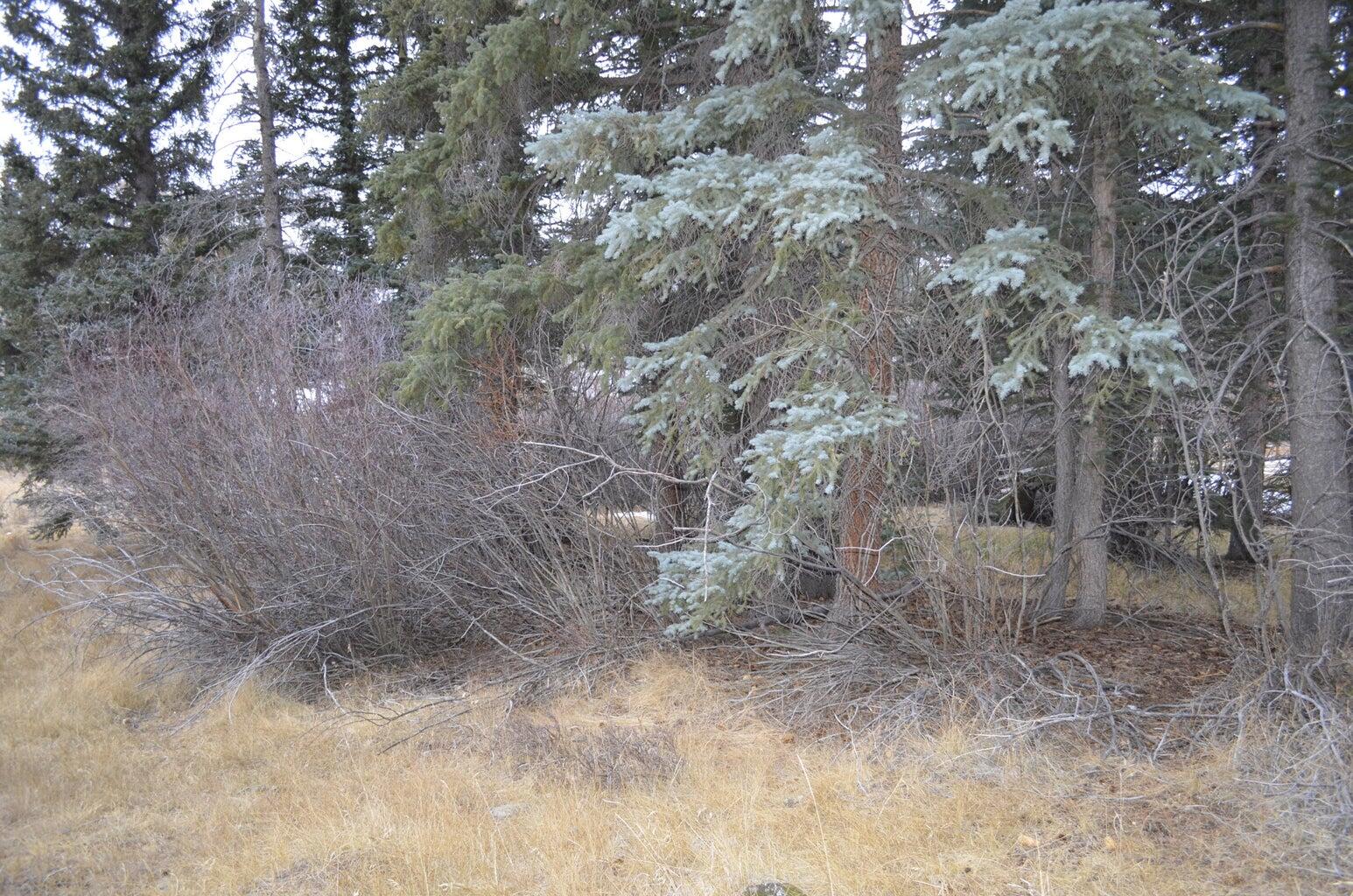 CLEAR CREEK RANCH ESTATES - Land