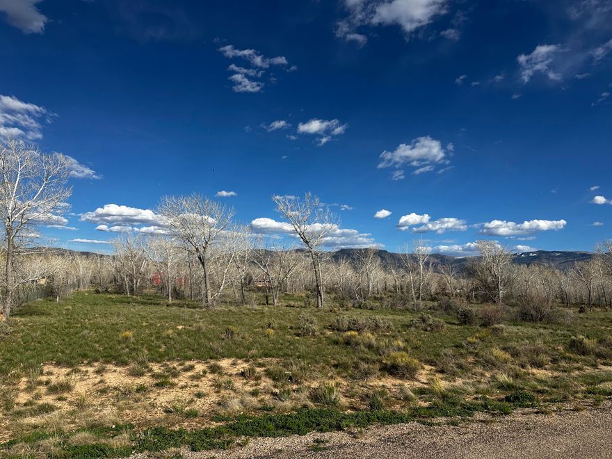 Gorgeous lot in Thorley Ranch! Mature trees and picturesque mountain views!