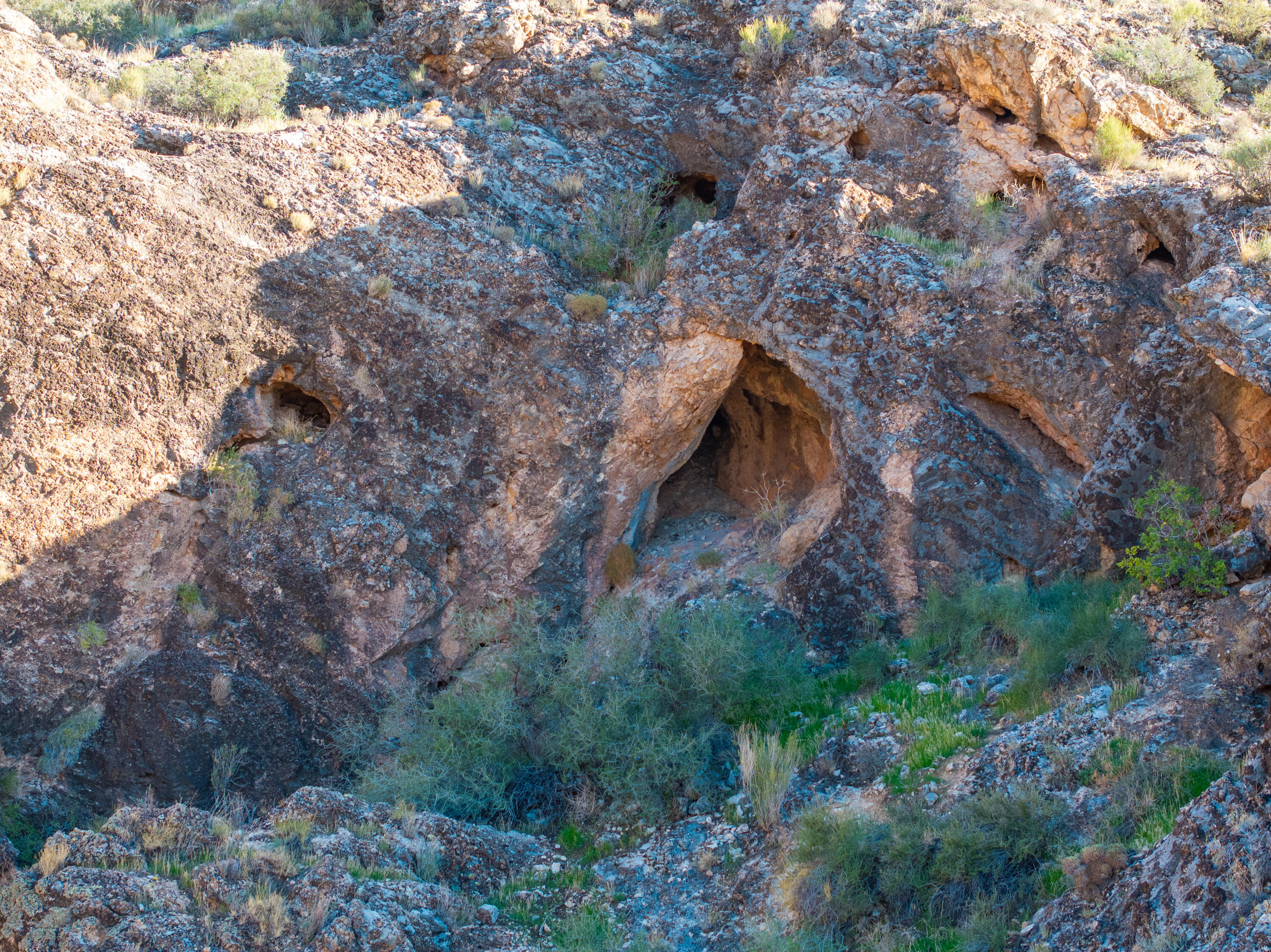 LAVERKIN TOWNSITE AND FIELD - Land