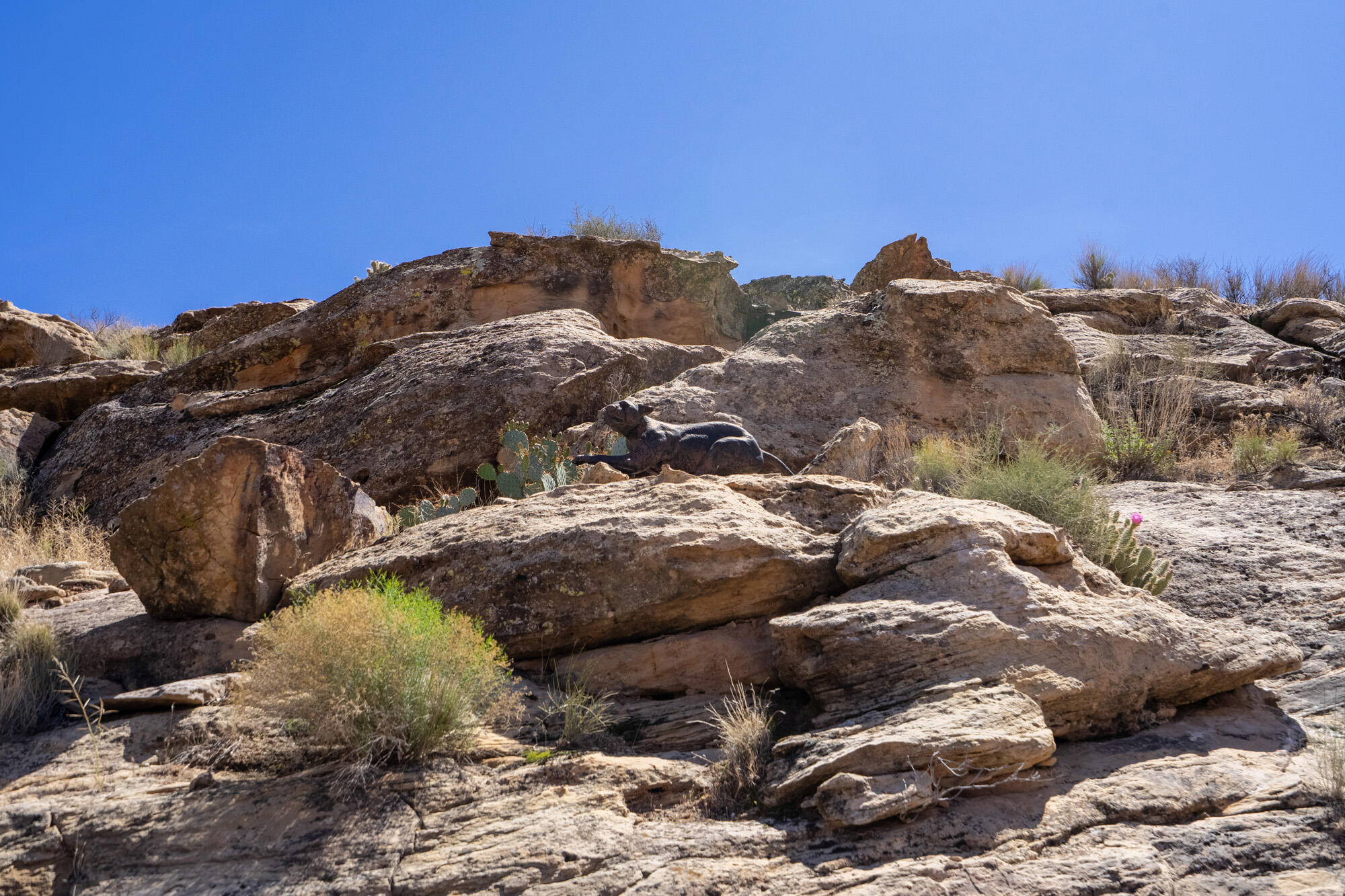 SIENNA CANYON AT WEBB HILL - Residential