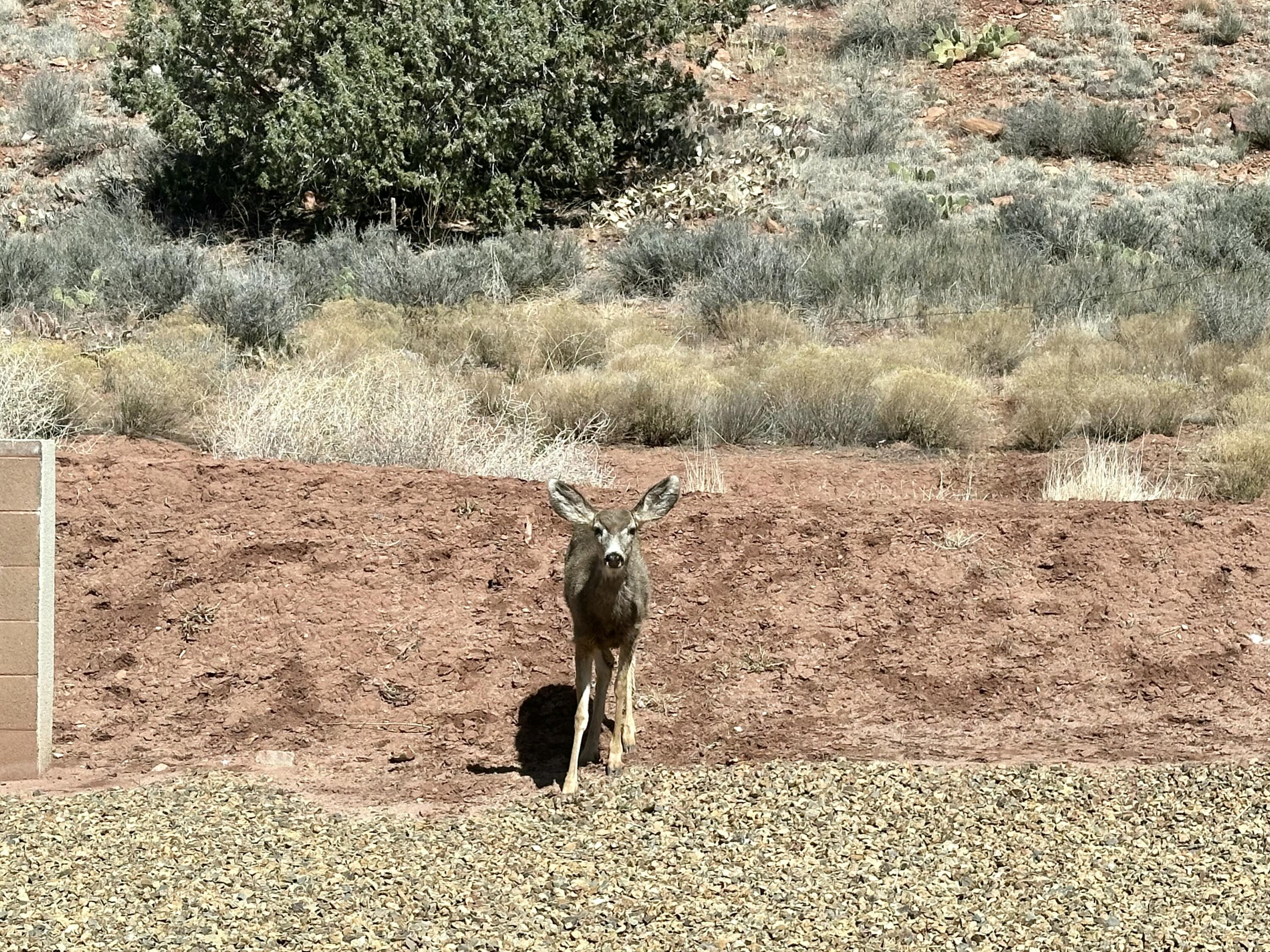 MOENAVE CONDO - Residential