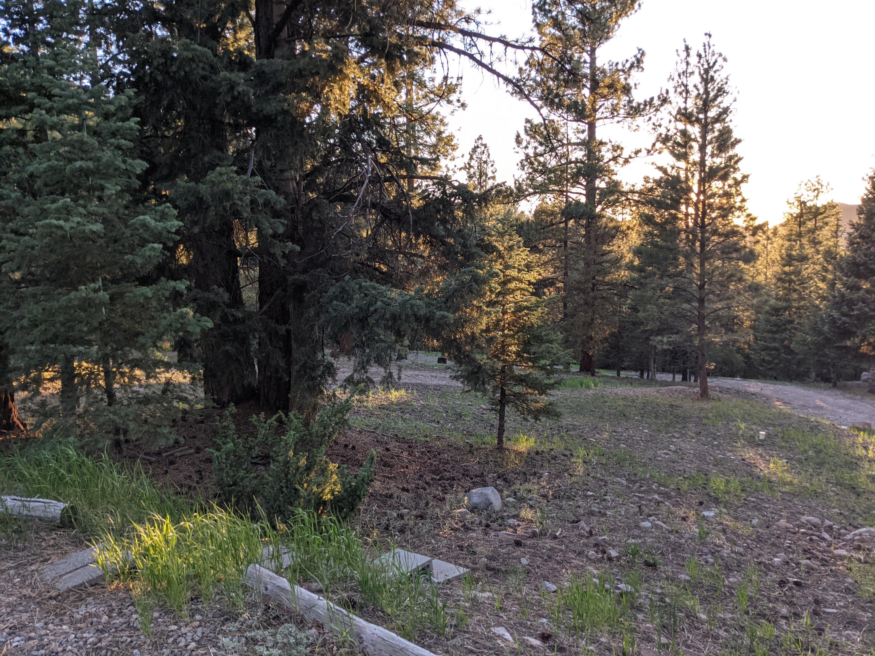 WHISPERING PINES SUB - Land