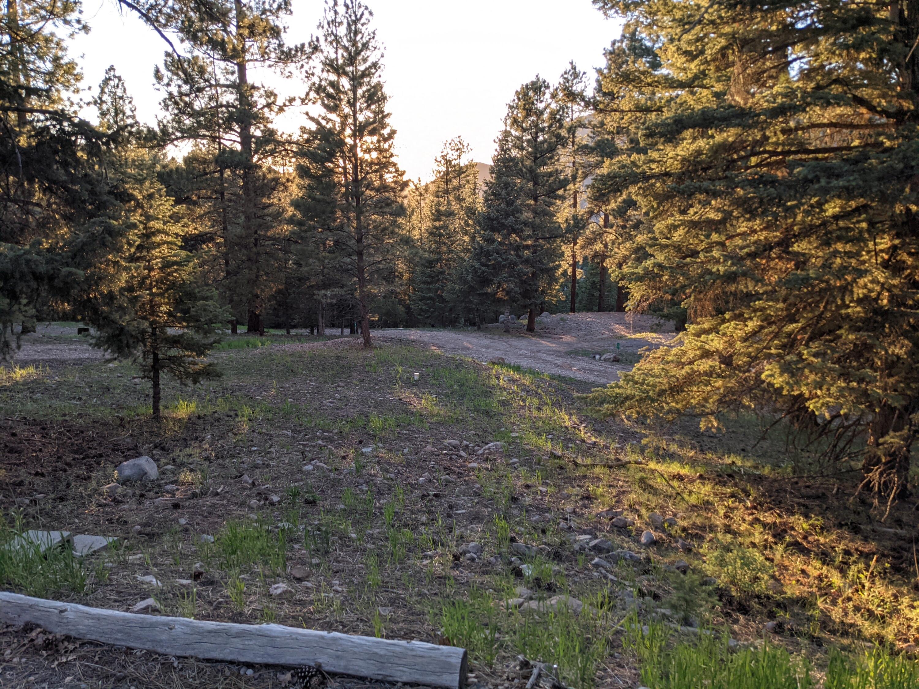 WHISPERING PINES SUB - Land