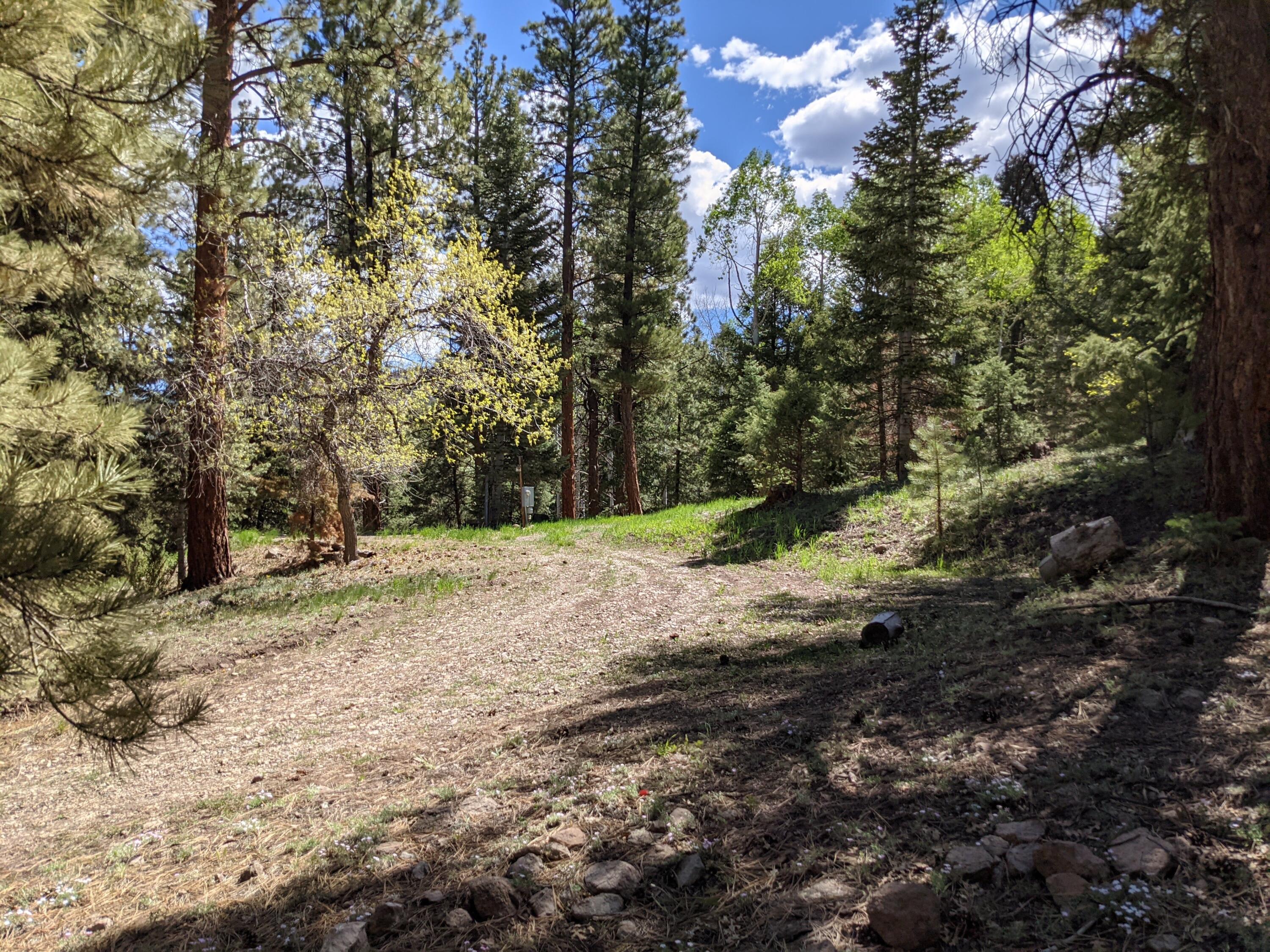 WHISPERING PINES SUB - Land