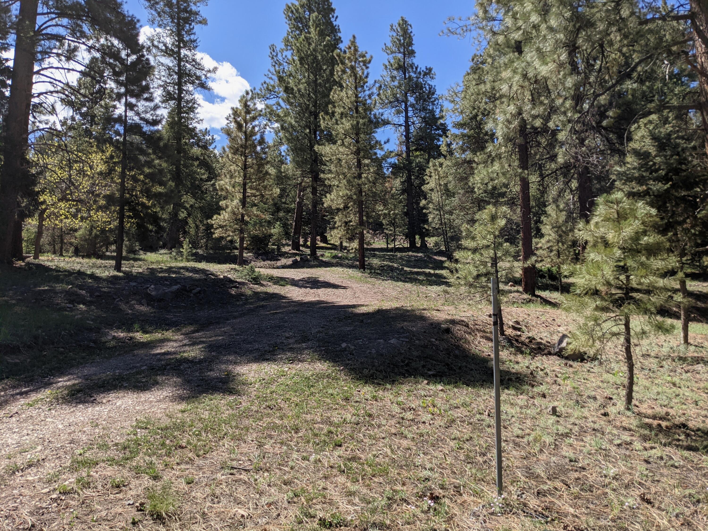 WHISPERING PINES SUB - Land