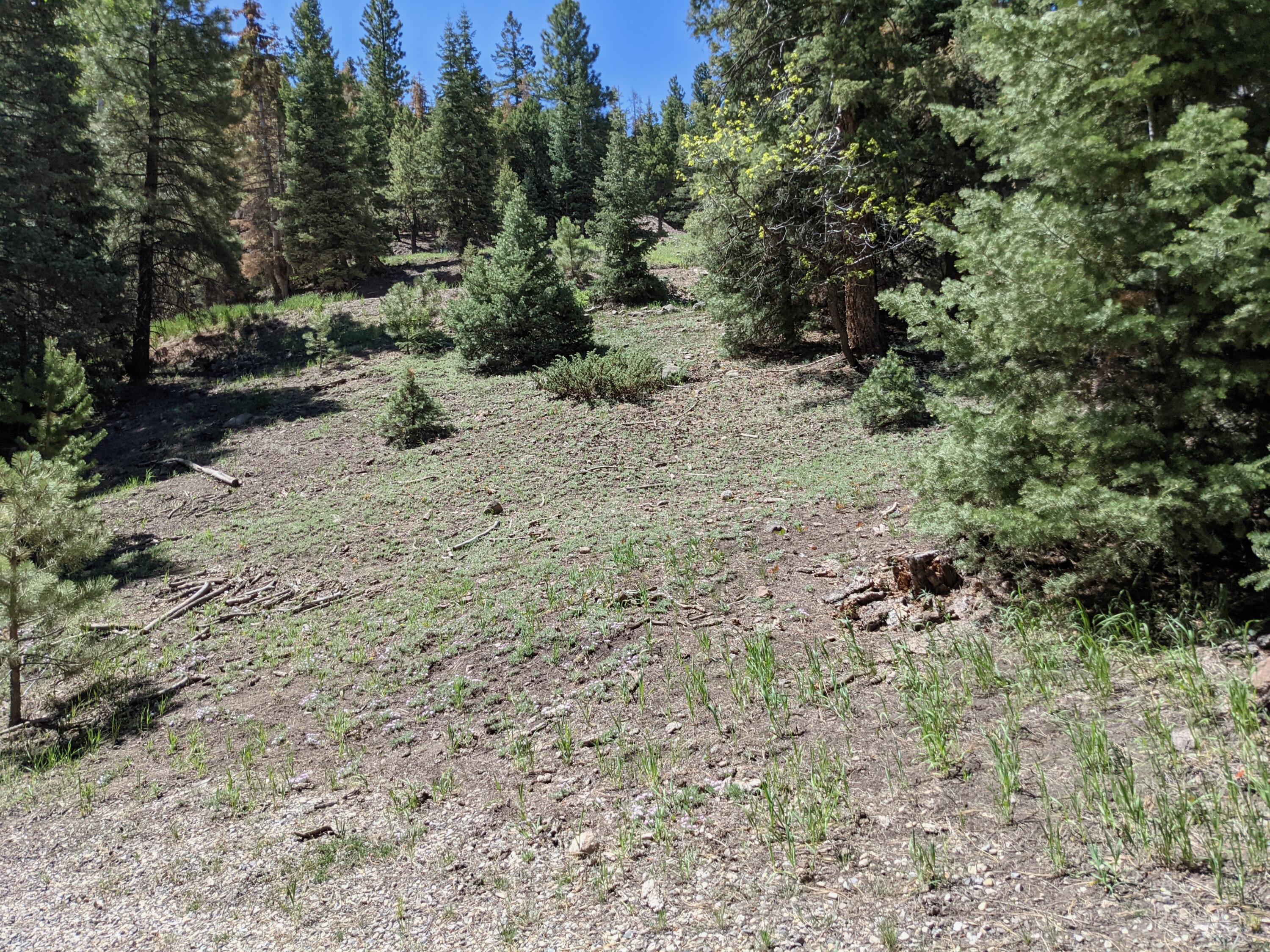 WHISPERING PINES SUB - Land