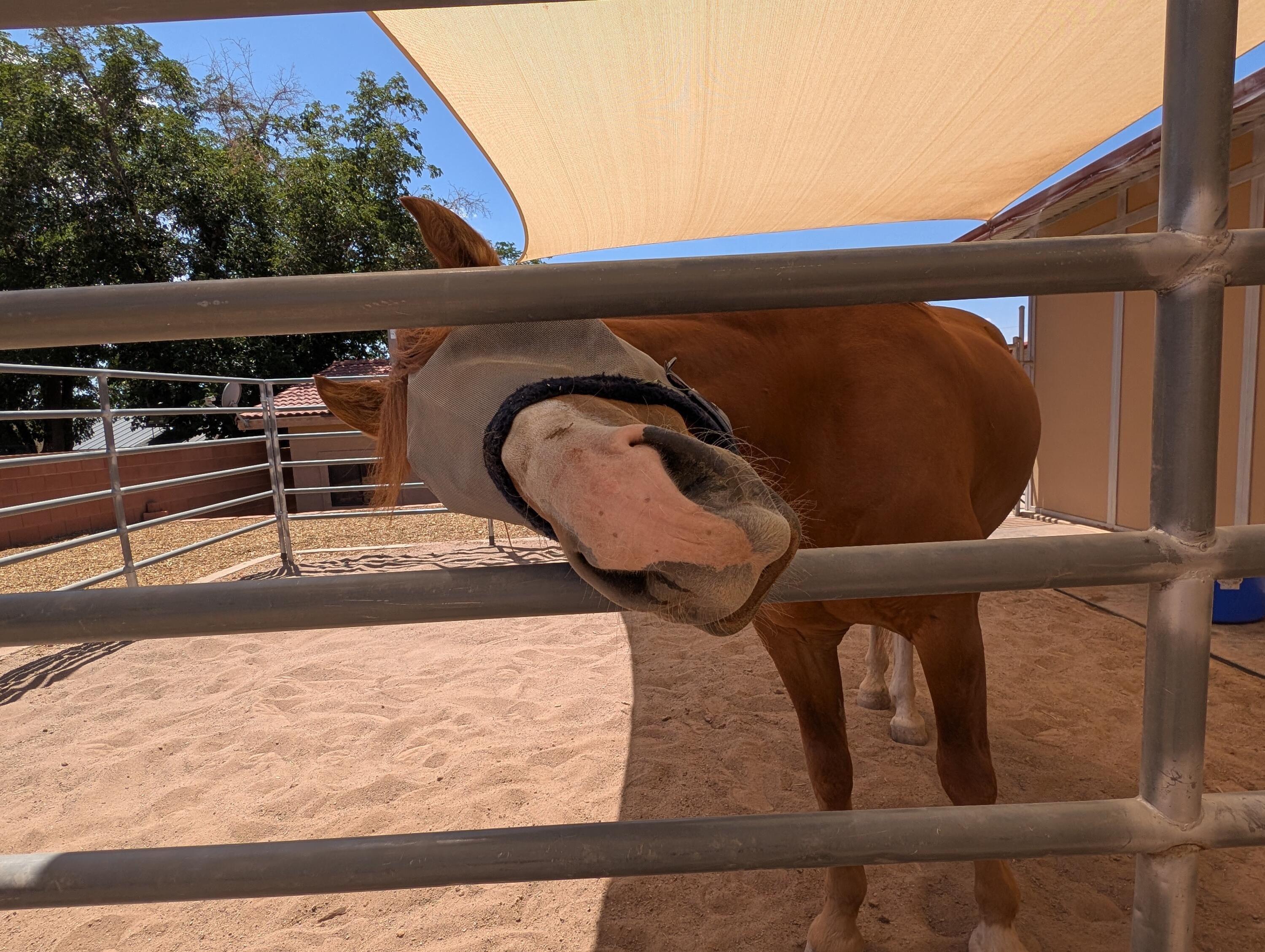 ST GEORGE TOWNSITE - Residential