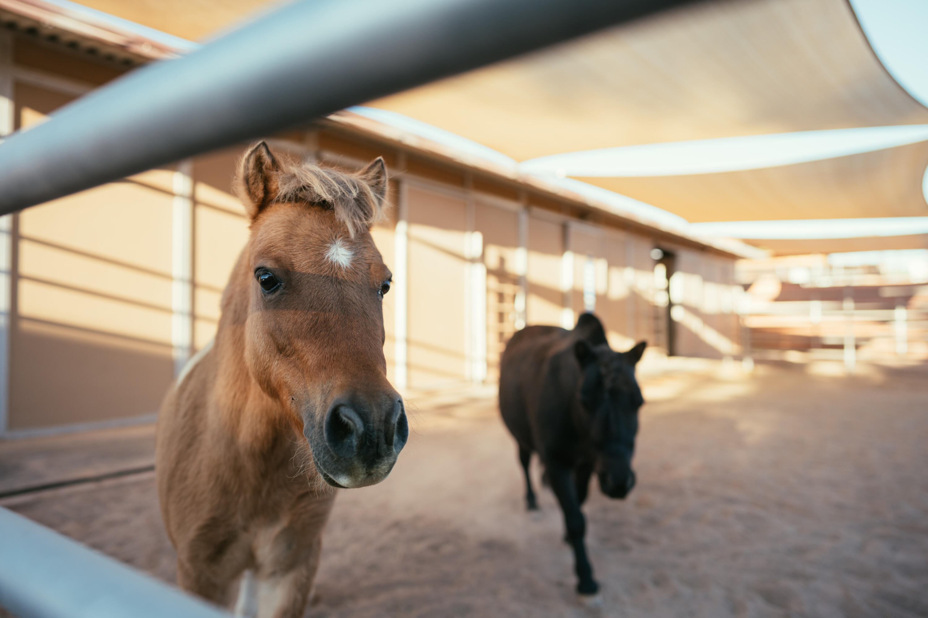 ST GEORGE TOWNSITE - Residential