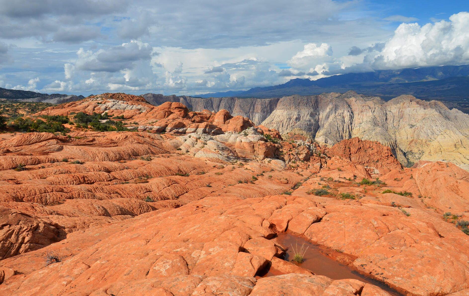 GRAND HEIGHTS - Land