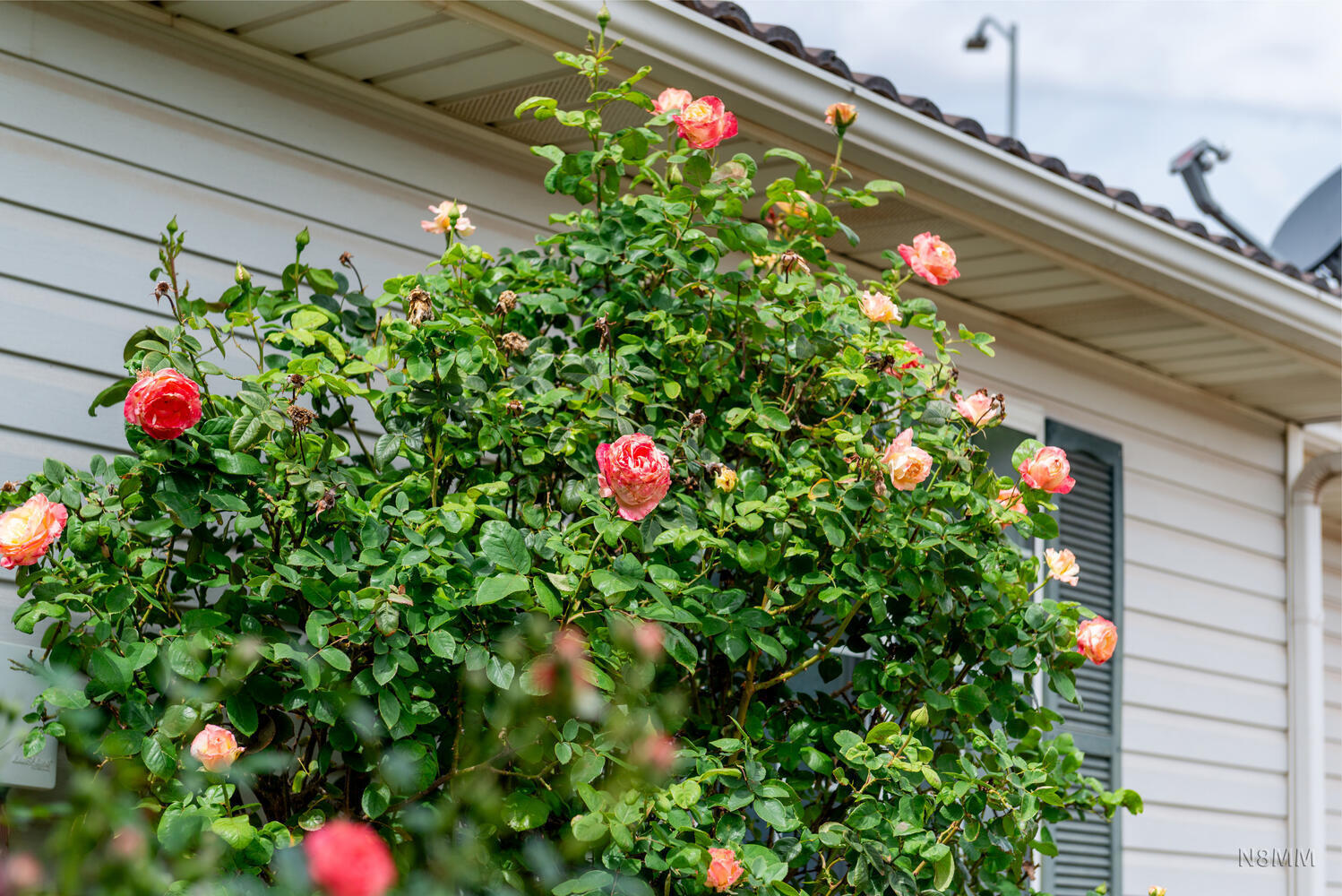 SAGEPOINT - Residential