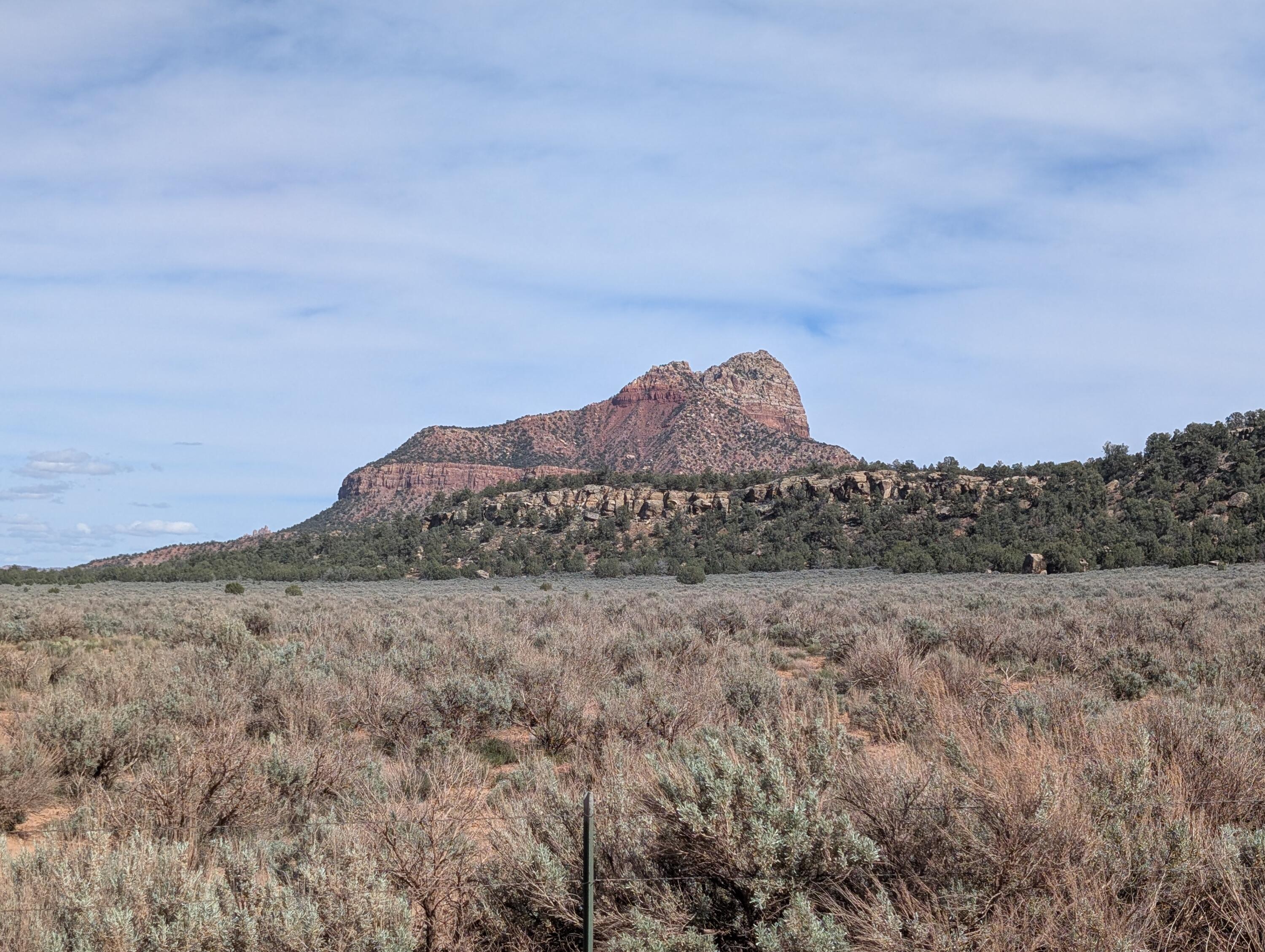 APPLE VALLEY RANCH GOOSEBERRY - Residential