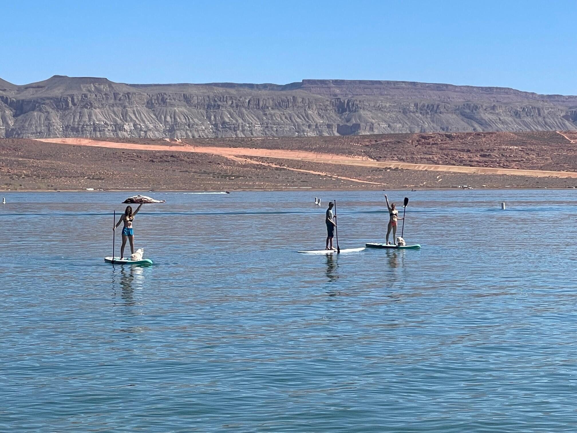 DIXIE SPRINGS - Residential