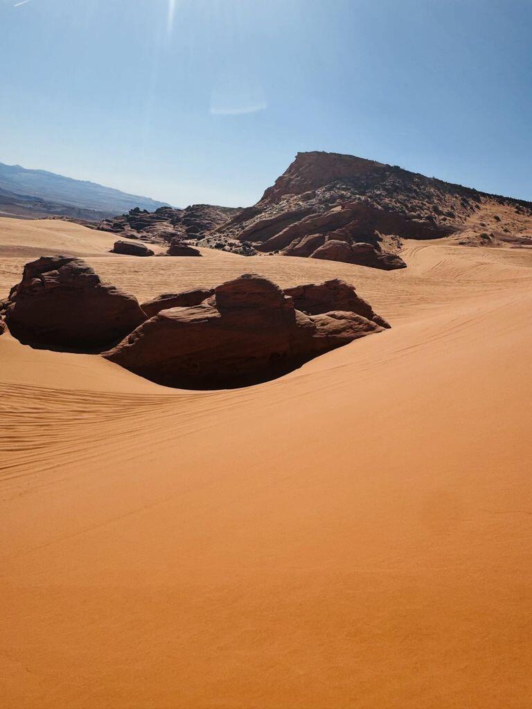 DIXIE SPRINGS - Residential