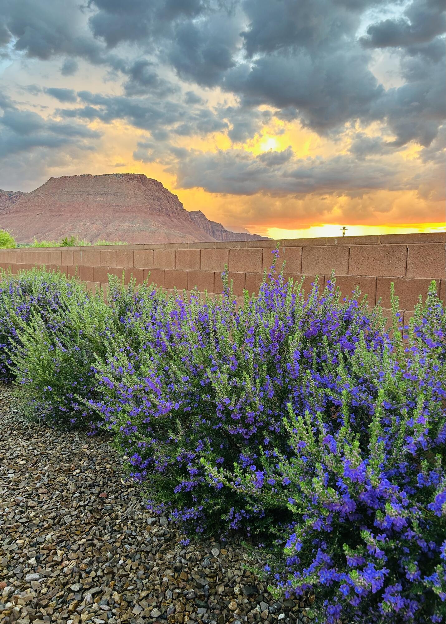 ANASAZI VISTA - Residential