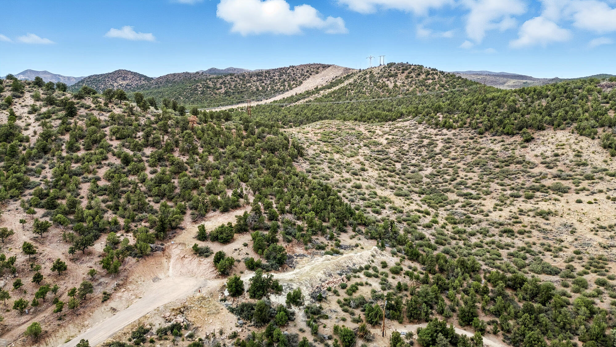 DIXIE DEER ESTATES - Land