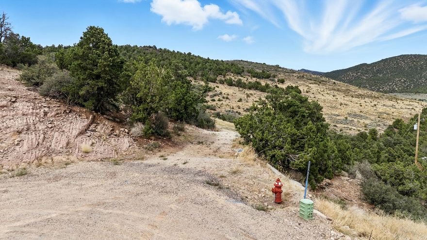 Expansive .58 acre lot in Dixie Deer Estates, Central Utah, ideal for your dream home! Tucked away in a tranquil cul-de-sac, this build-ready, treed lot boasts breathtaking Pine Valley Mountain views. It is close to St. George but offers cooler mountain temperatures and a peaceful retreat with easy access to city amenities. Enjoy nearby reservoir fishing, ATV, and horse trails--no HOA fees! The water meter fee is paid, power is available at the road, and a soils report is available. Create your perfect escape in this scenic, adventure-filled location!