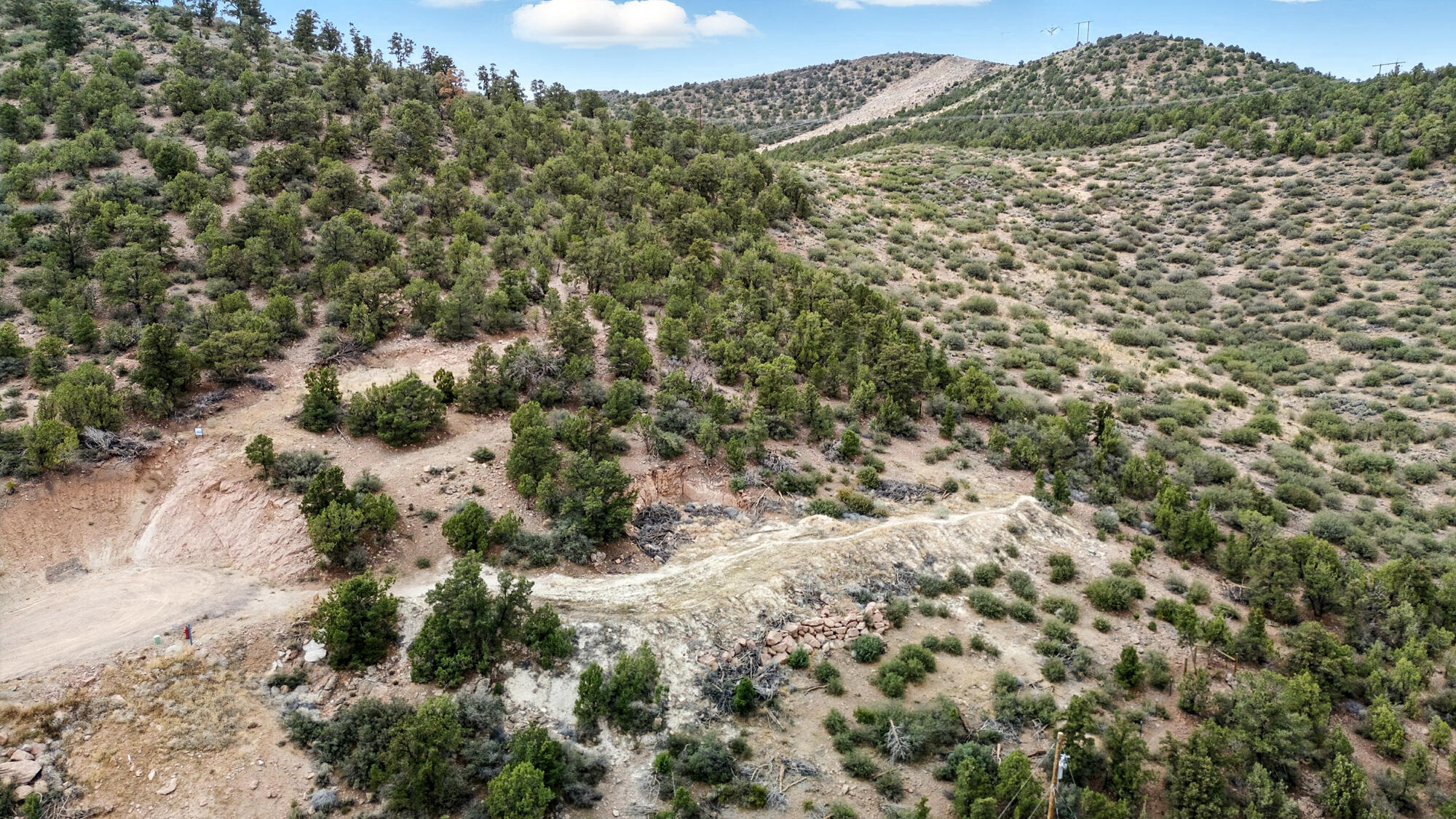 DIXIE DEER ESTATES - Land