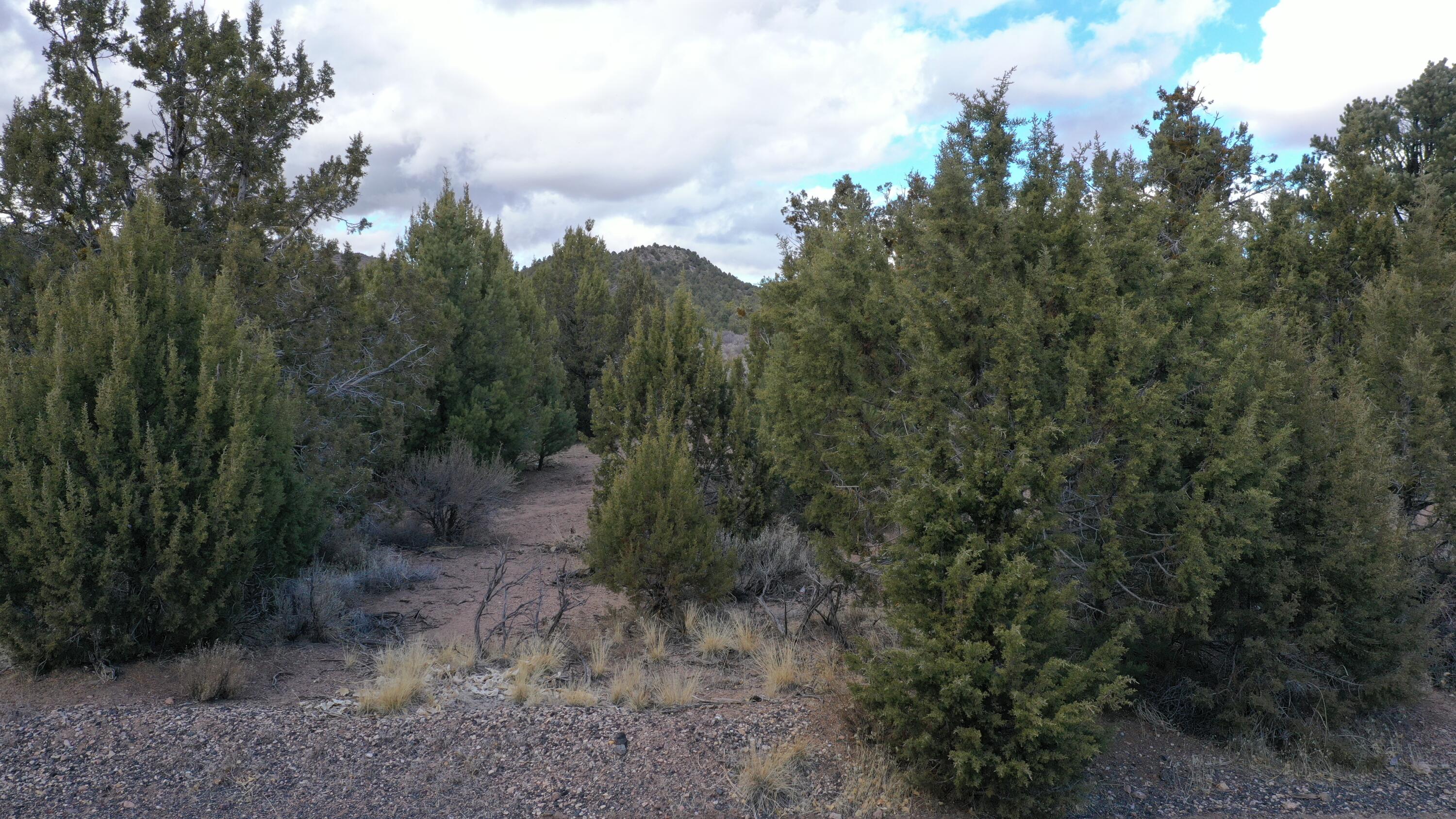 DIXIE DEER ESTATES - Land