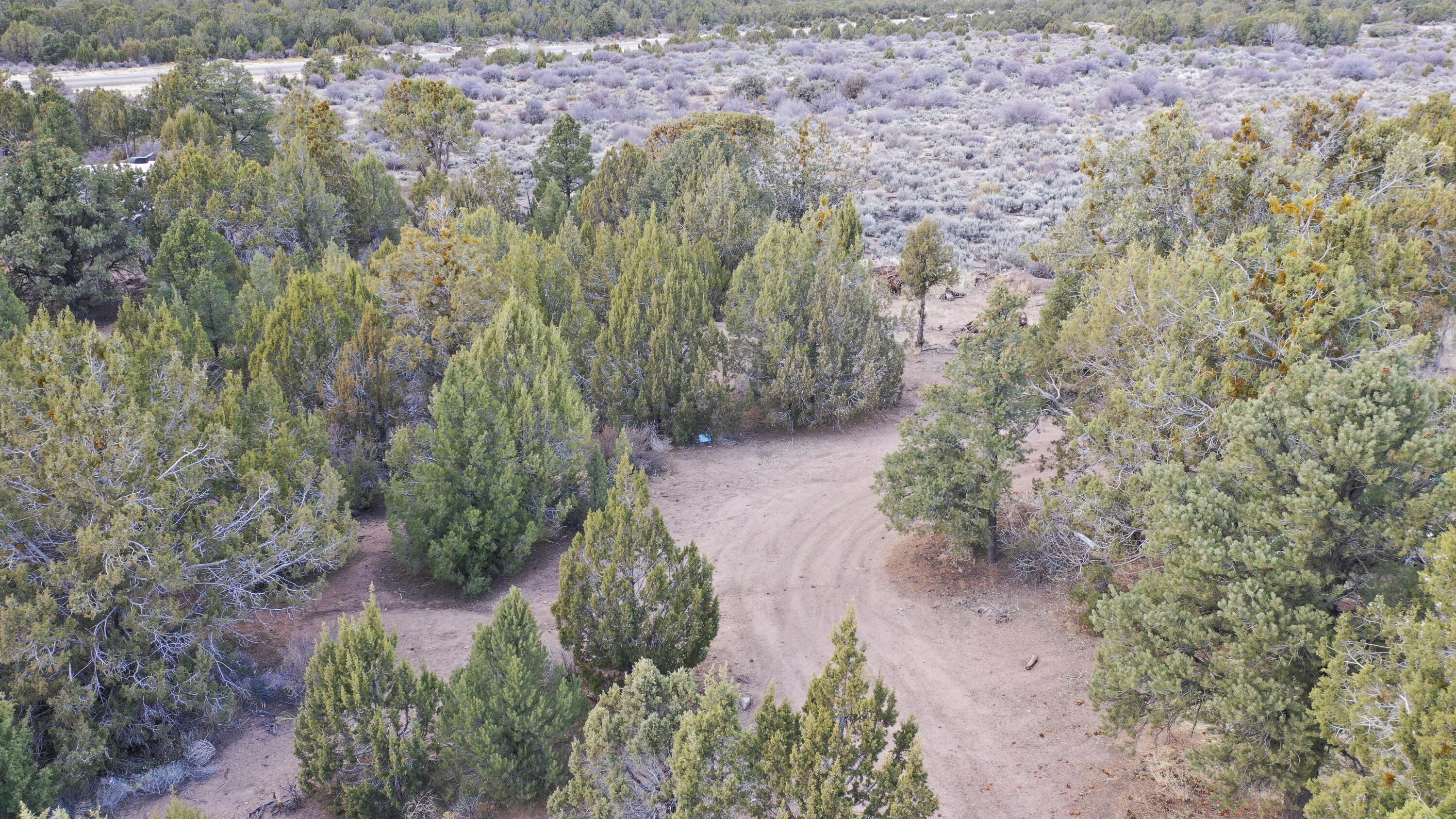 DIXIE DEER ESTATES - Land