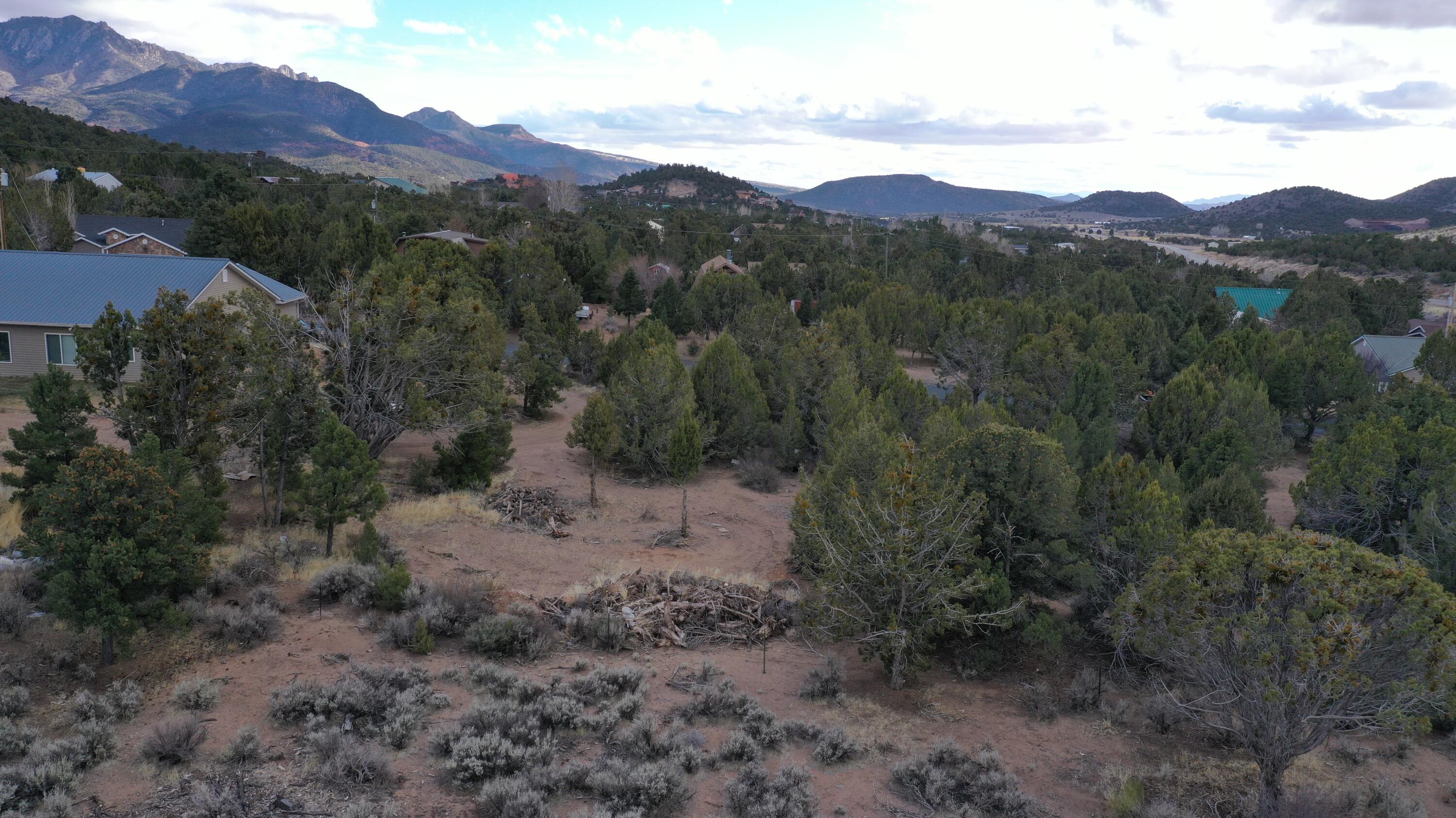 DIXIE DEER ESTATES - Land