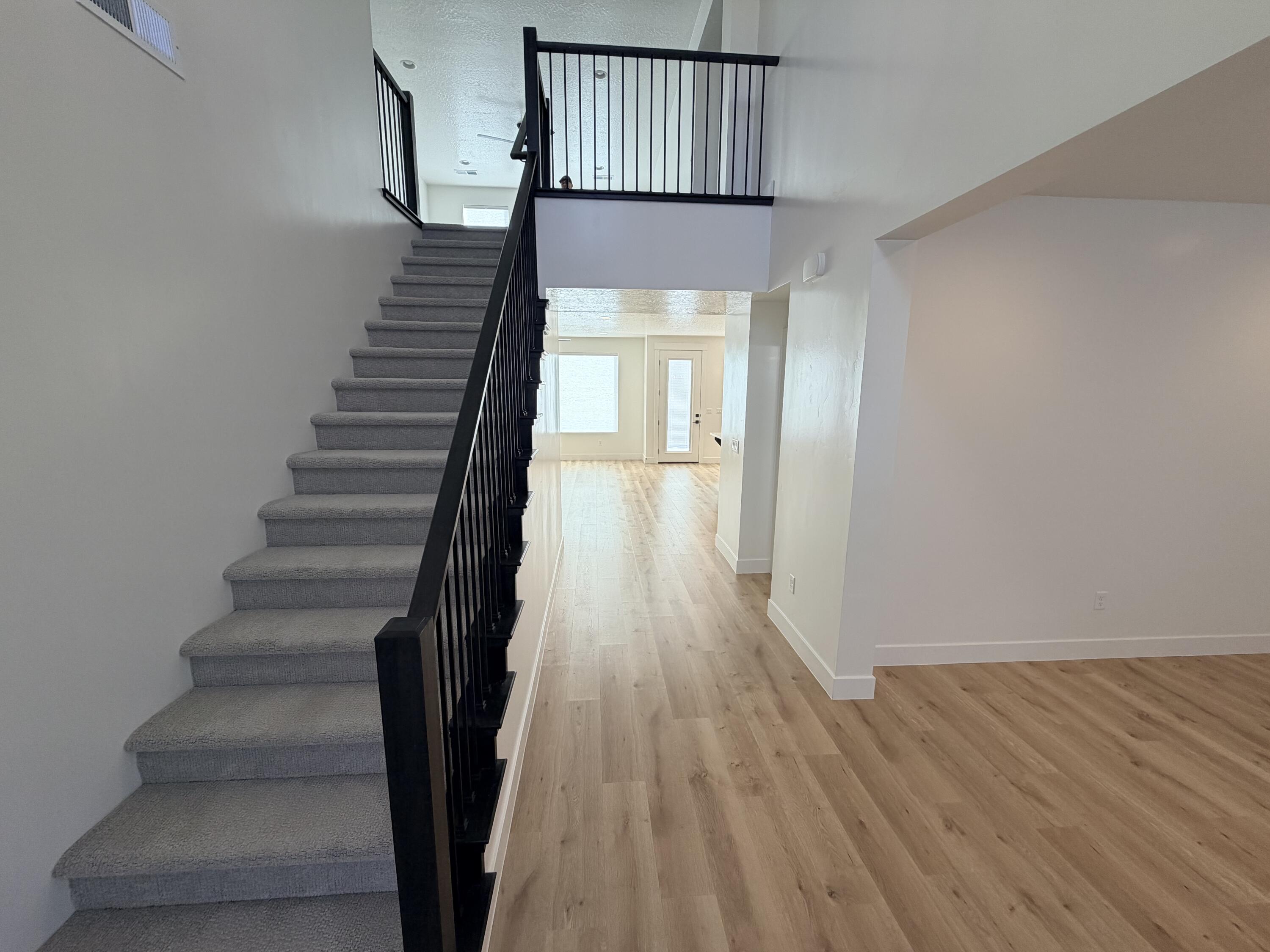 RED PINE - Residential