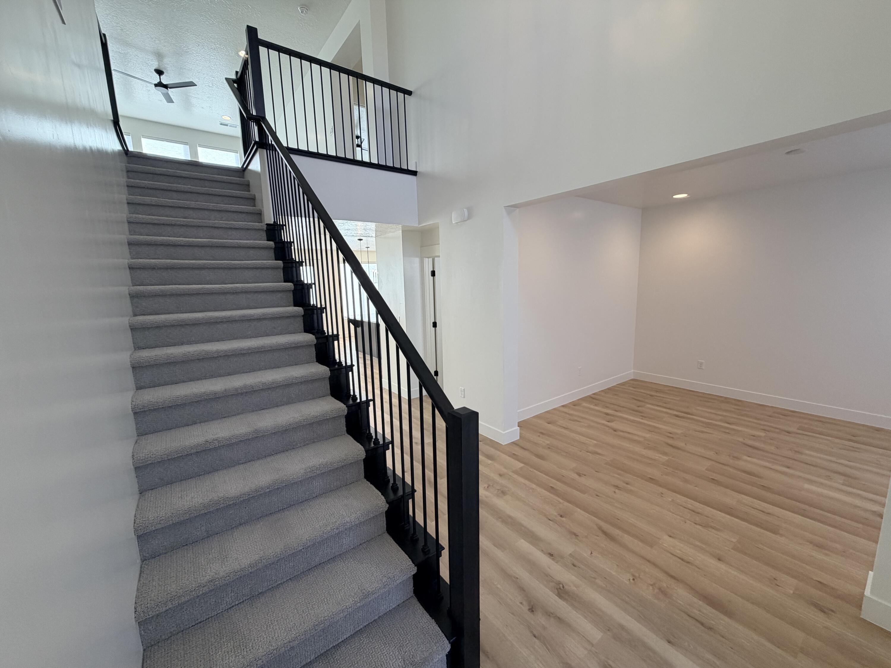 RED PINE - Residential