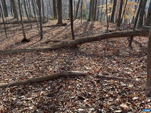 Photo for MONACAN TRAIL RD