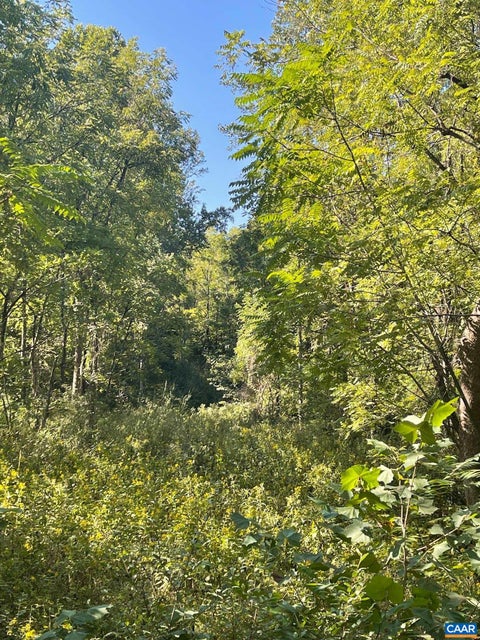 Photo for TBD STONY POINT PASS