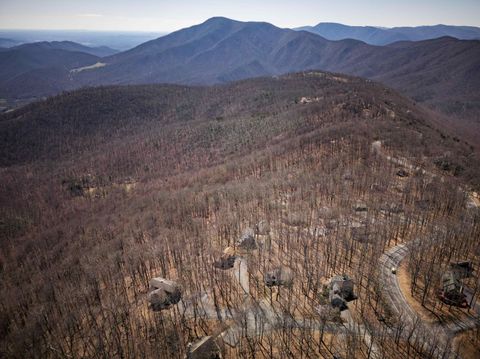 A home in WINTERGREEN RESORT