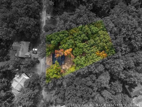 A home in MOUNT JACKSON