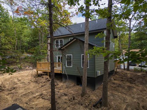 A home in MOUNT JACKSON