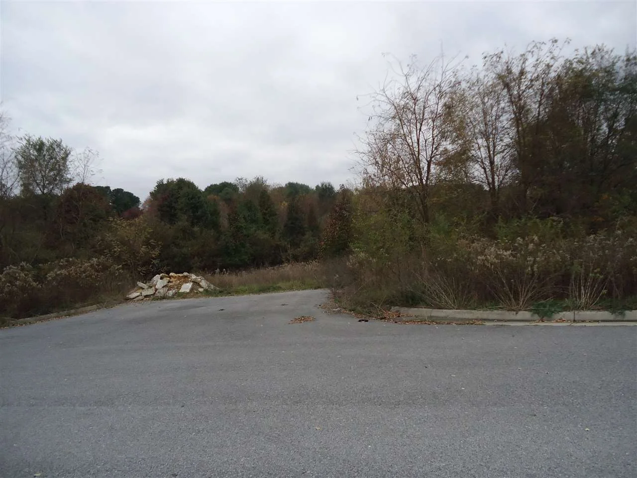 tbd Lot 4 Pratts Run Ln