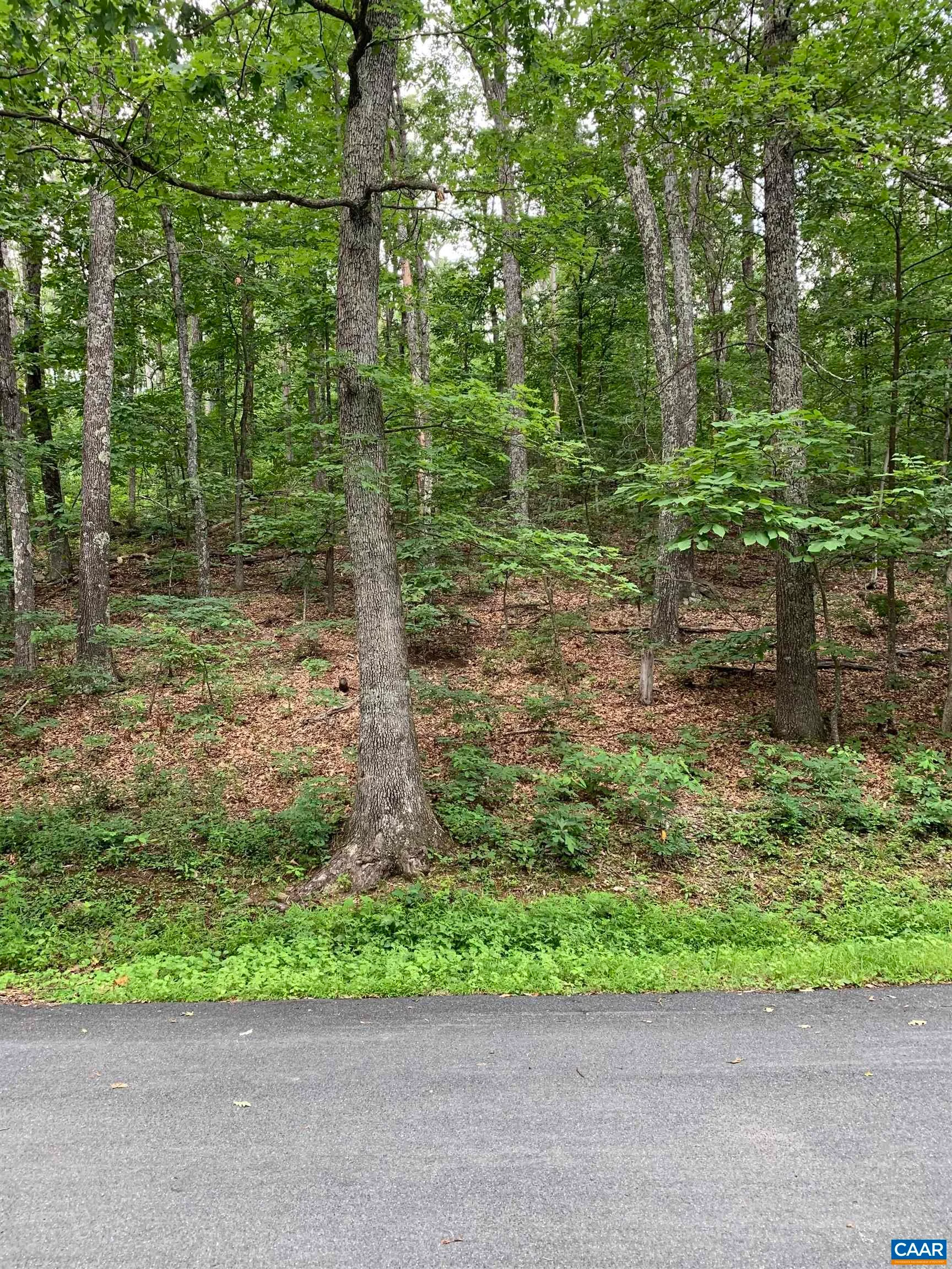 32 Chestnut Ln