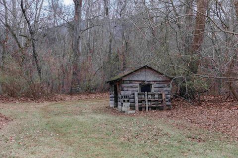 A home in NATURAL BRIDGE STATION