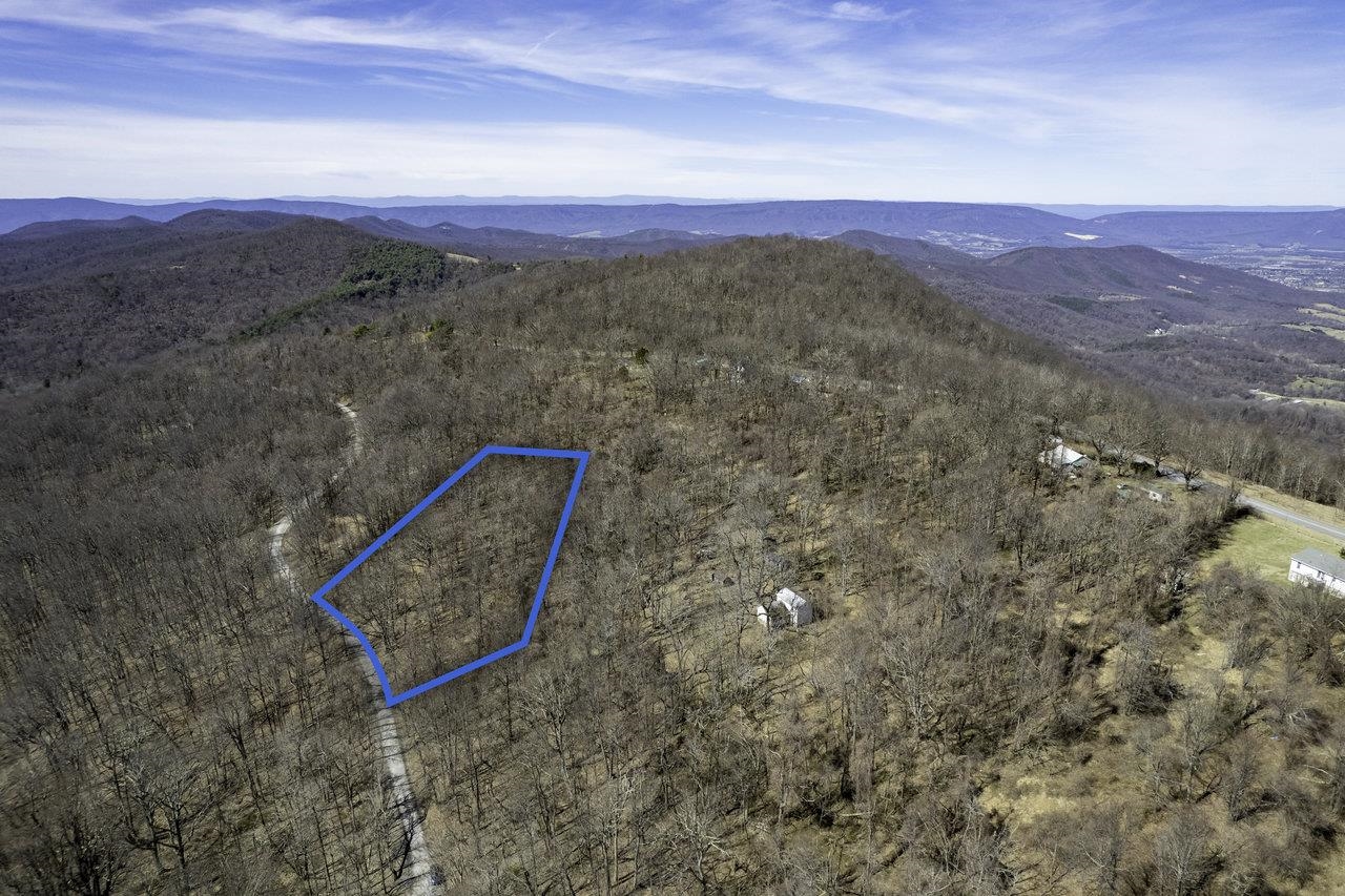 Listing image 1