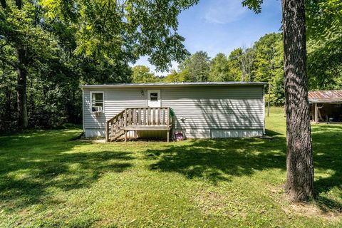 A home in MOUNT SOLON