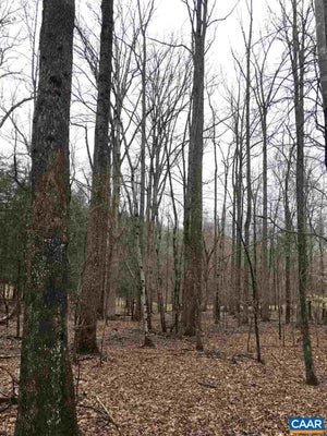 503 GARDEN LN, PALMYRA, VA 22963 - Image d7fb5ef5e4e579f6658b8ed410447f71/659482139