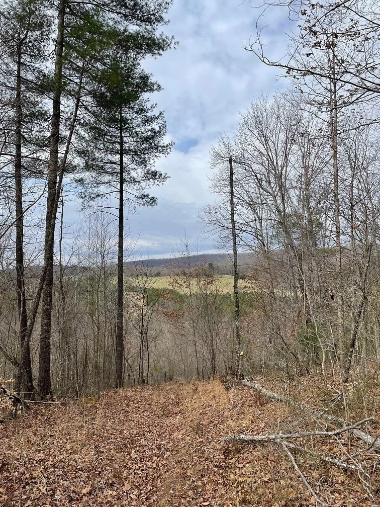 70-131 Estaline Valley Rd