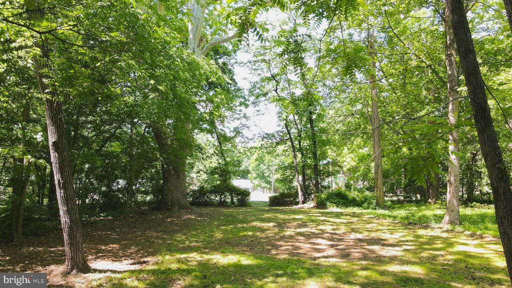 216 SPOTSWOOD RD