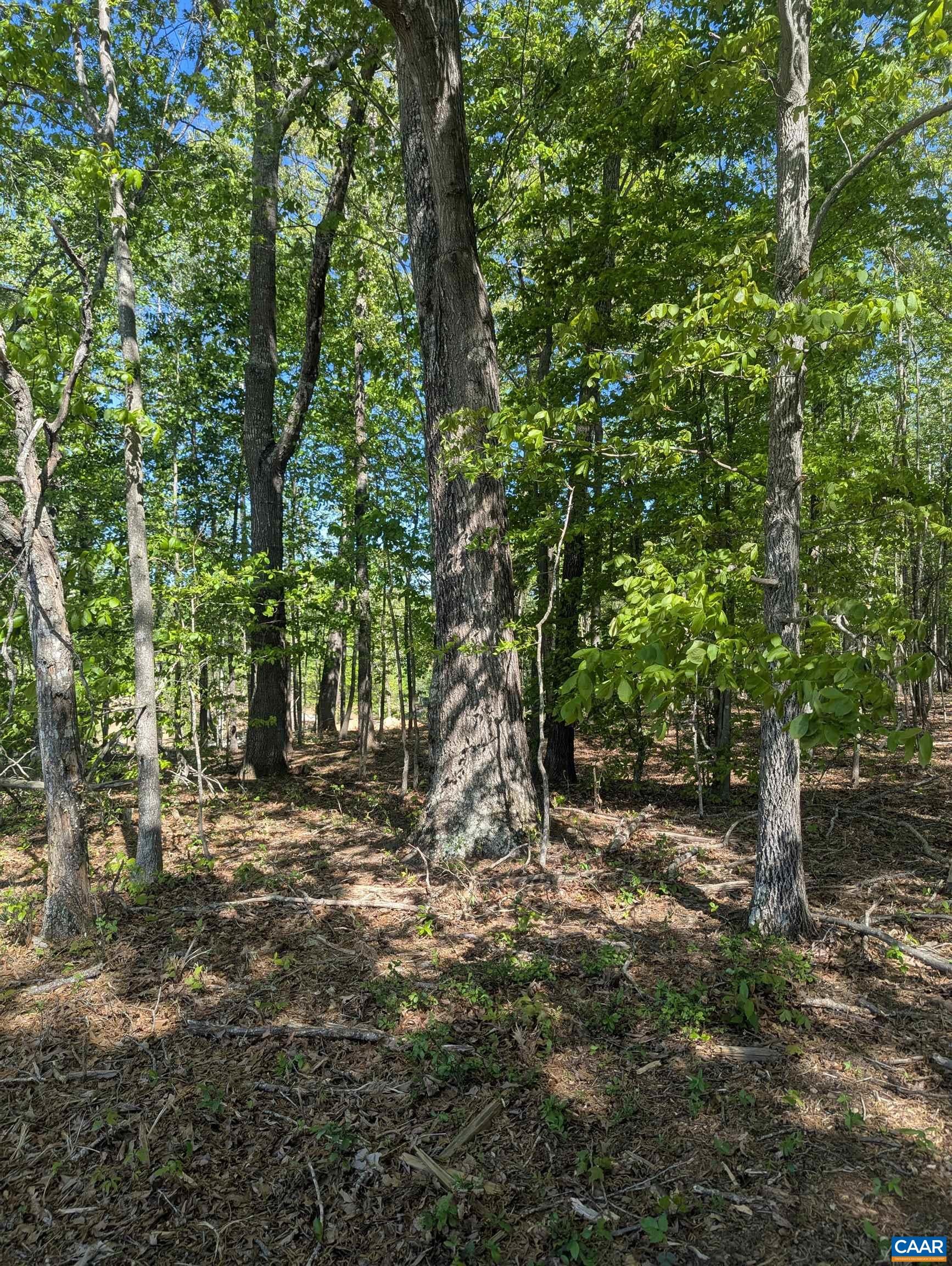 Lot 4 HORIZON DR