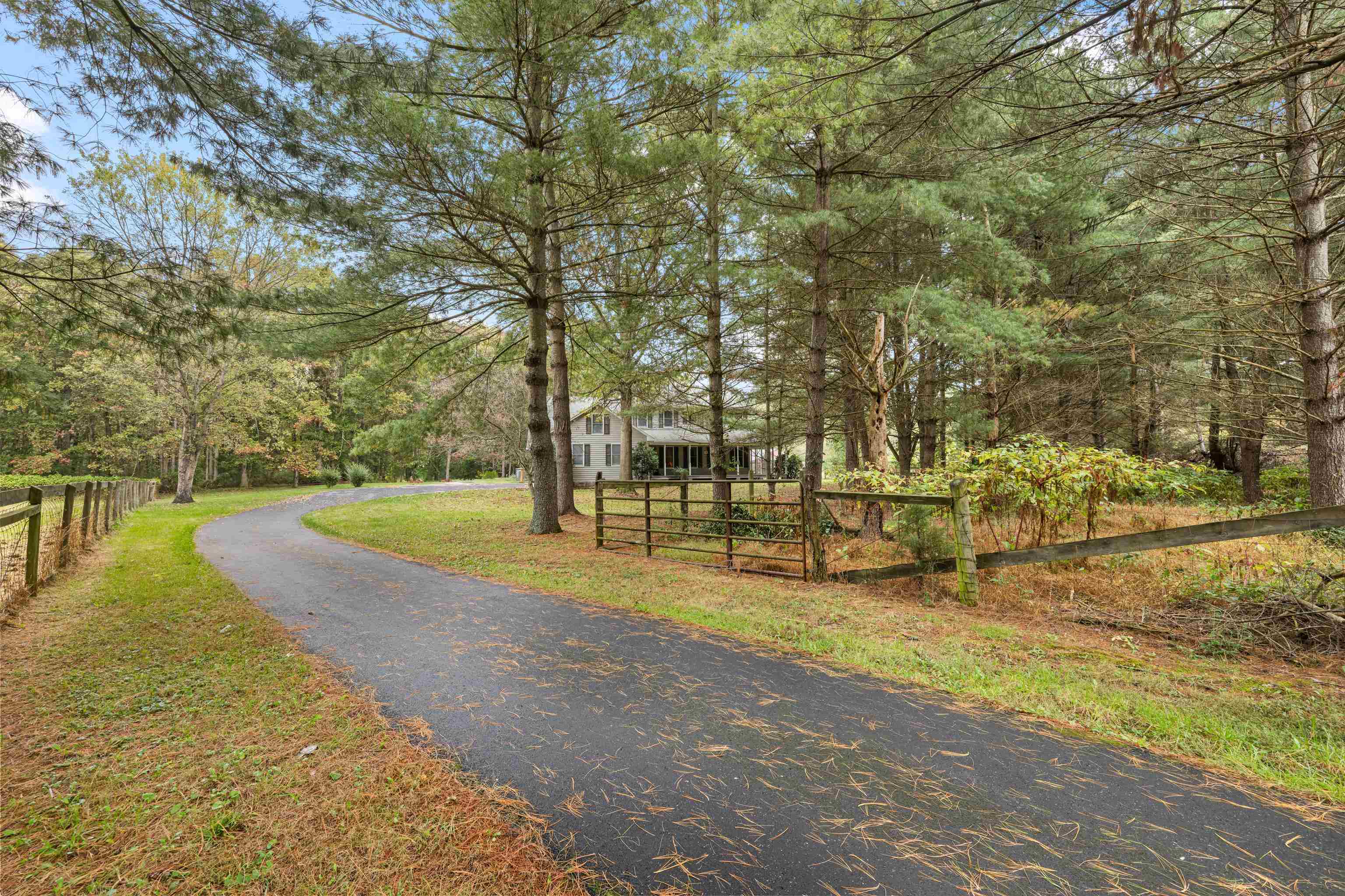1168 MT TORREY RD