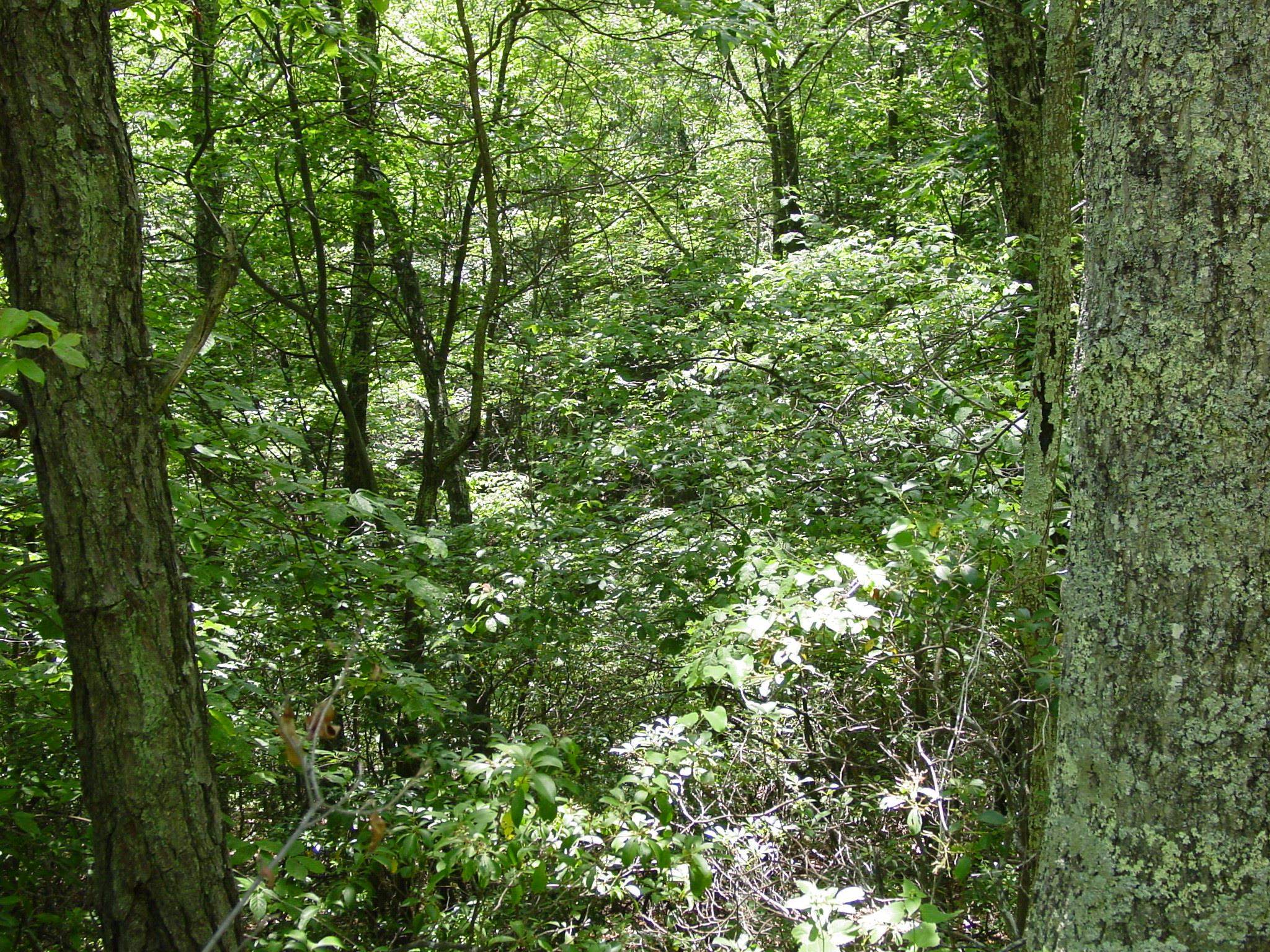 TBD HIGH VALLEY SOUTH