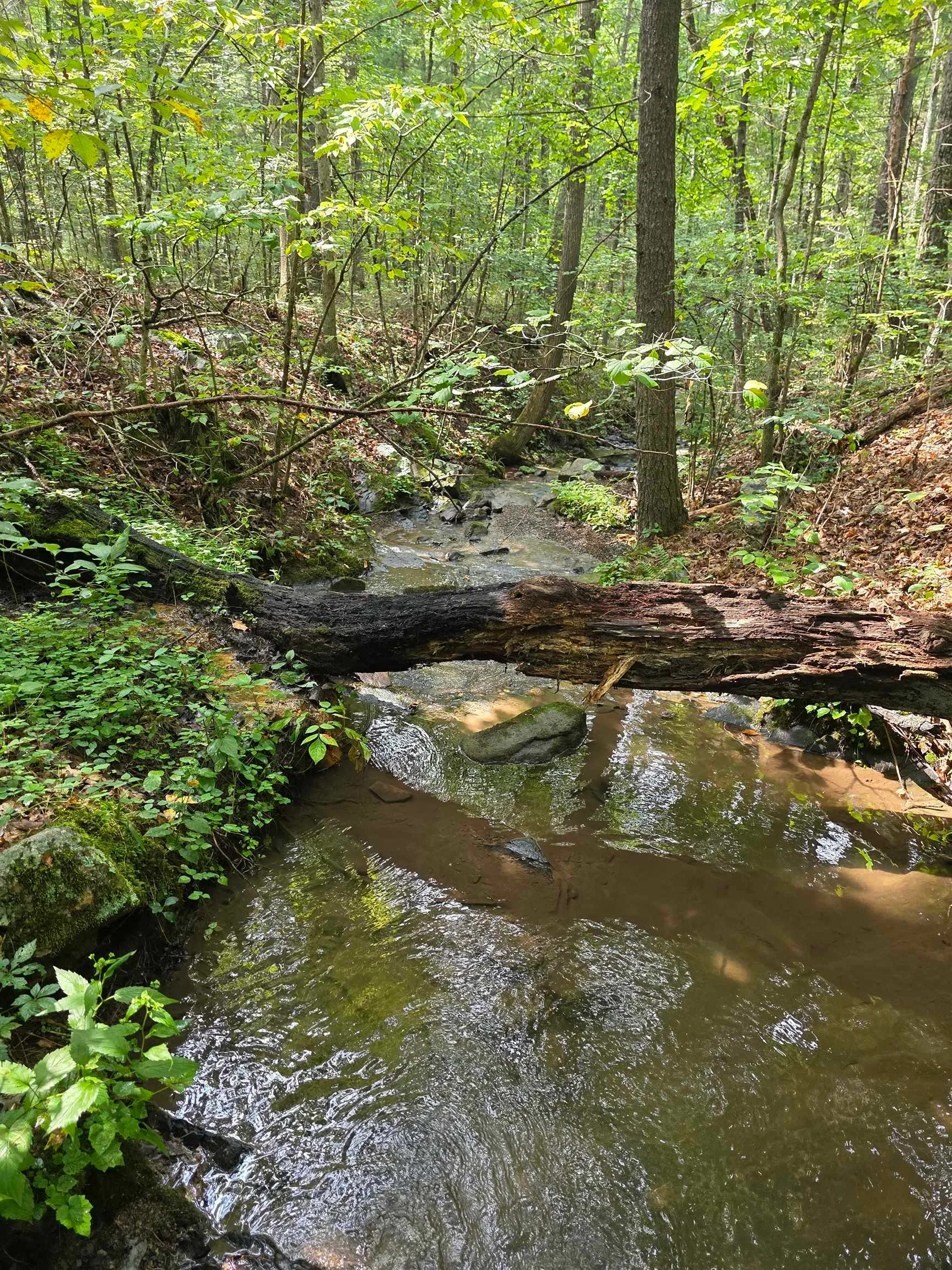 574 Mountain Slope Ln, Fort Valley, VA, 22652