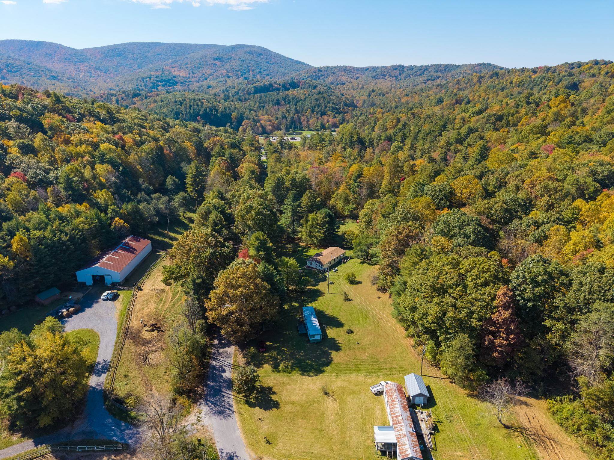 377 FORK MOUNTAIN LN