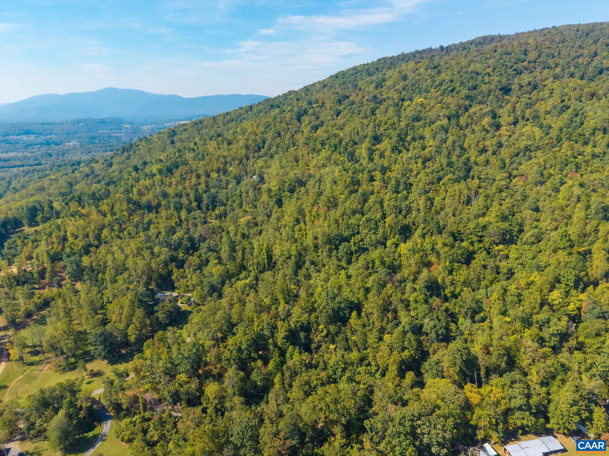 GREENWOOD HOLLOW