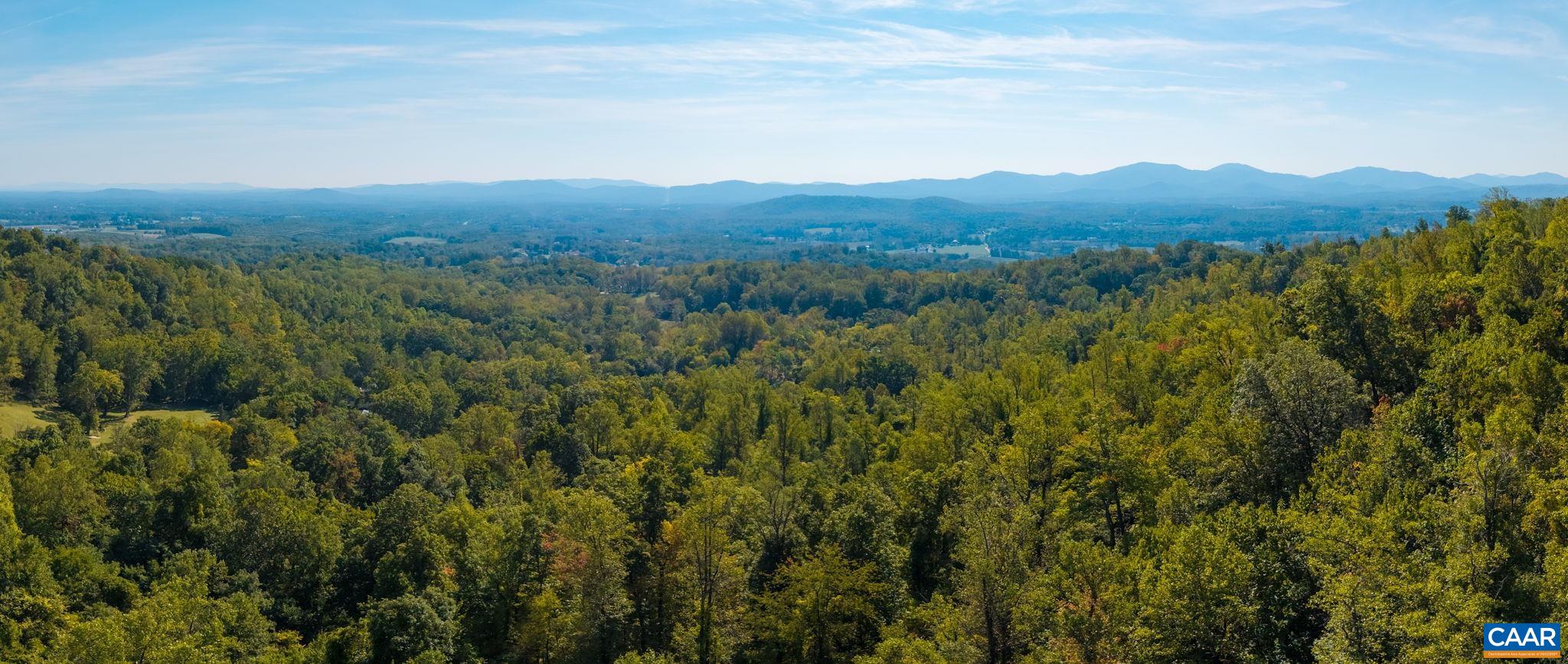 GREENWOOD HOLLOW