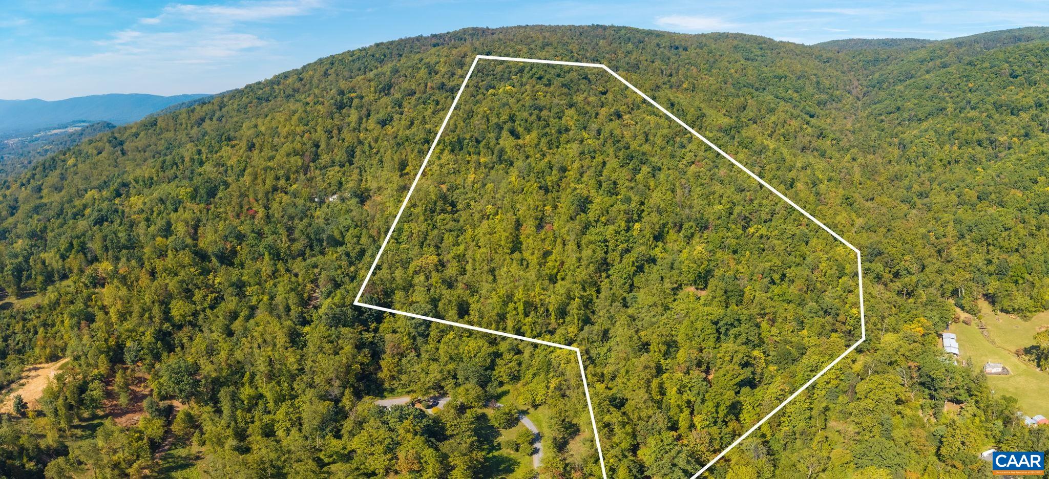 GREENWOOD HOLLOW